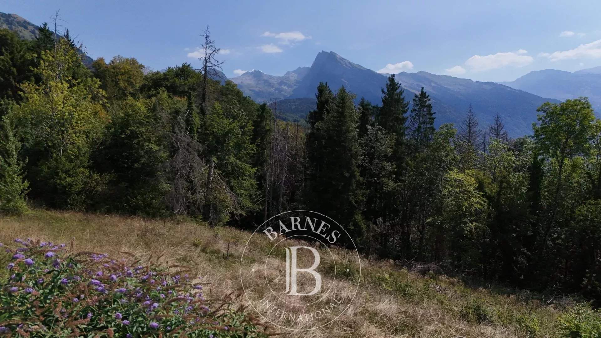 Verchaix  - Terreno  - picture 6