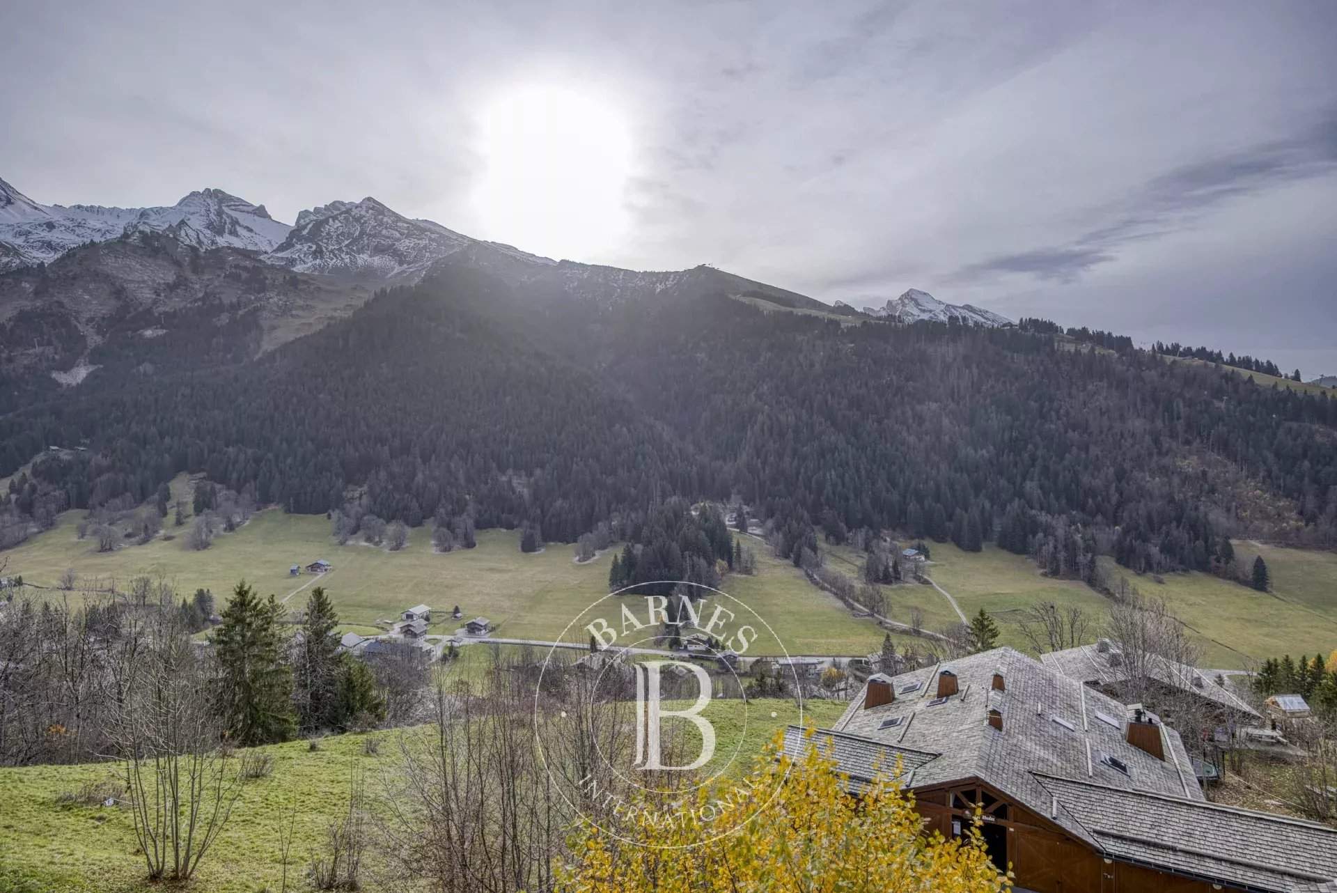 La Clusaz  - Apartment 1 Bedroom - picture 5