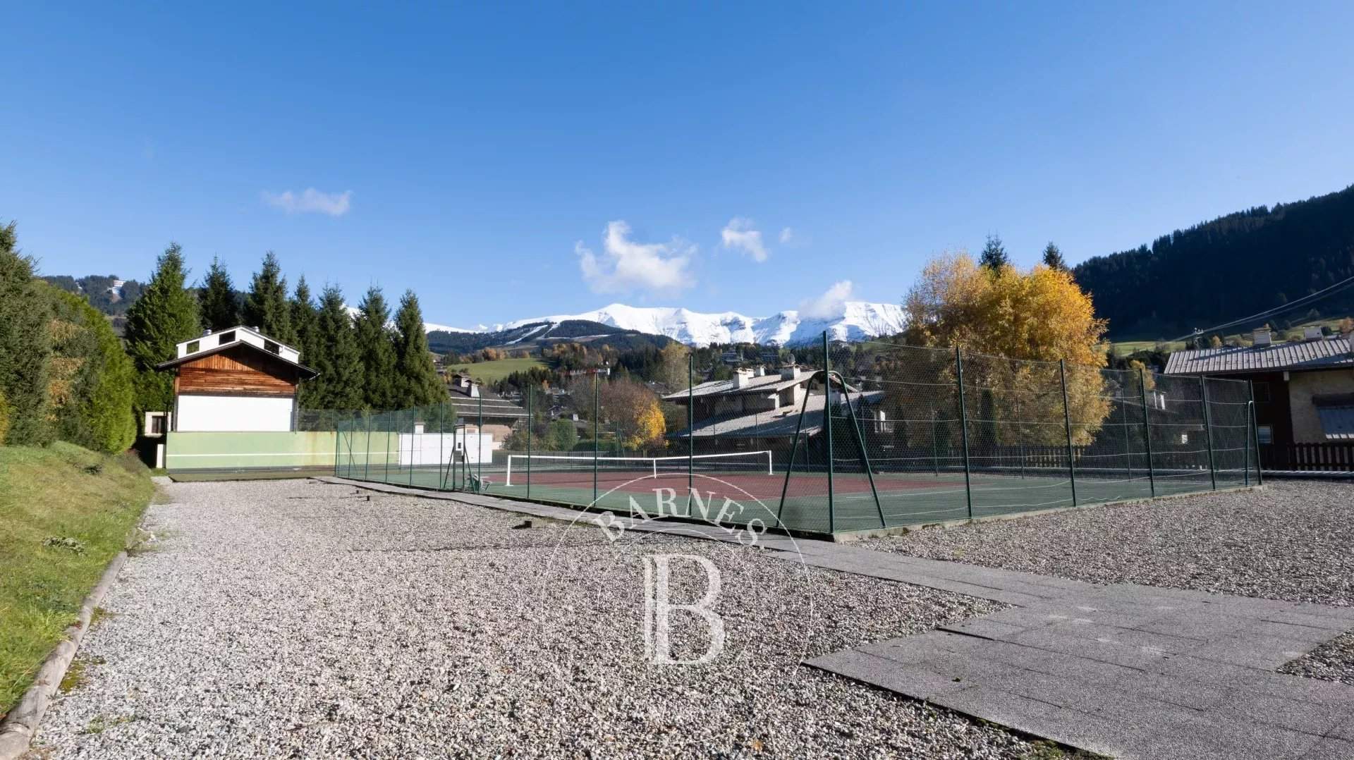 Megève  - Apartment 1 Bedroom - picture 13