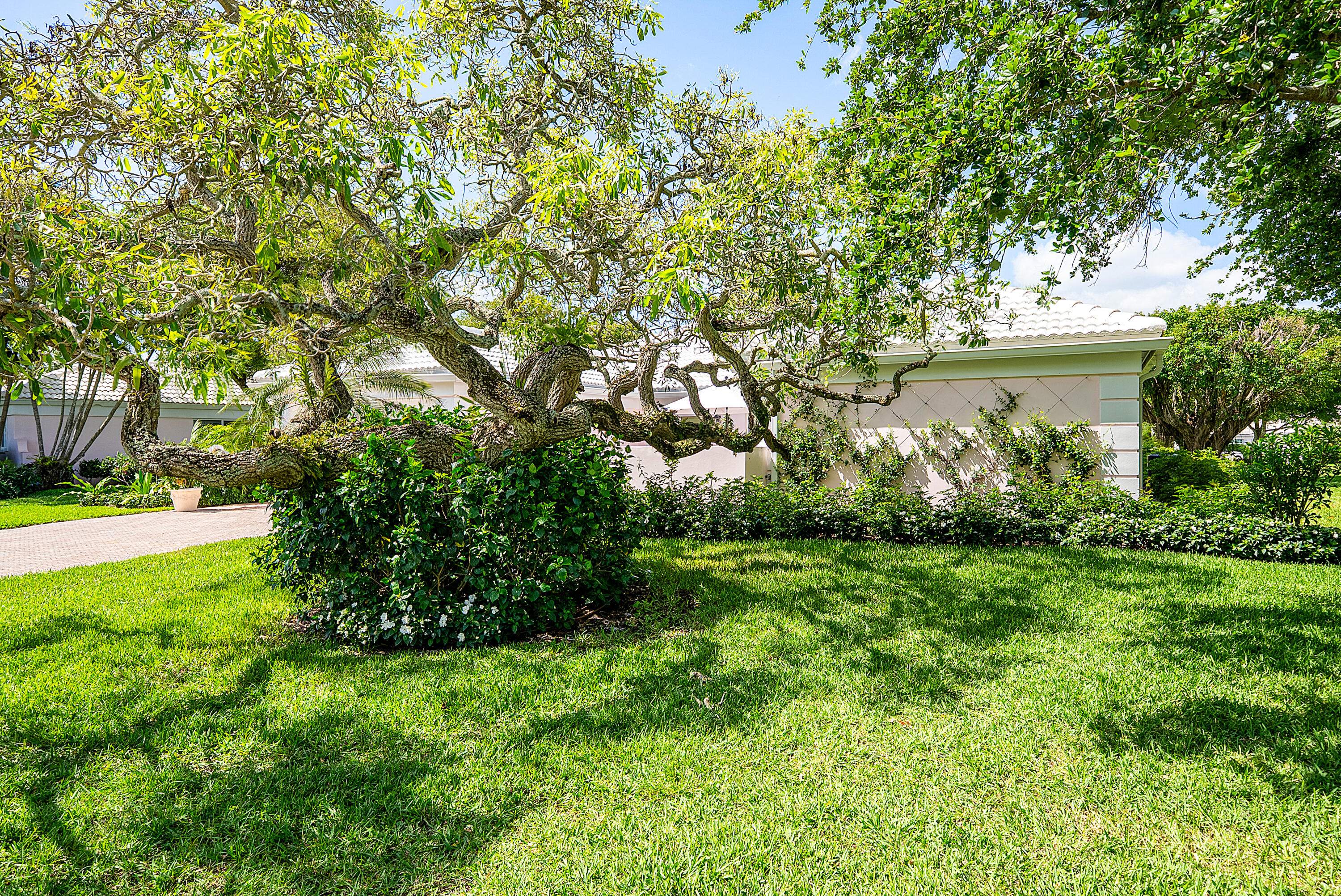 Miami  - Maison 4 Pi&egrave;ces 3 Chambres - picture 4