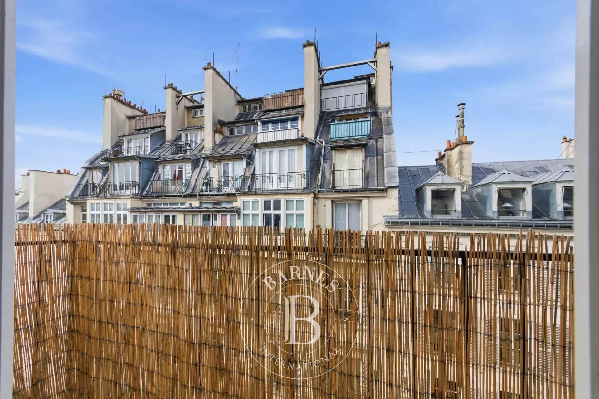 Paris  - Appartement 1 Pi&egrave;ce - picture 5