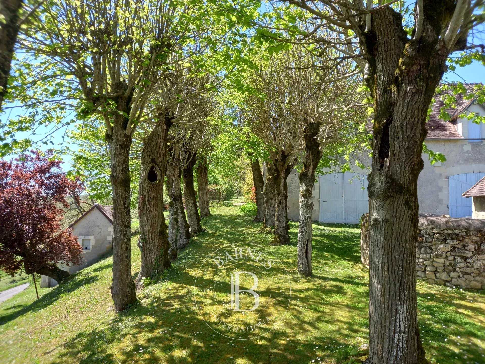 Châtellerault  - Château 9 Pi&egrave;ces 6 Chambres