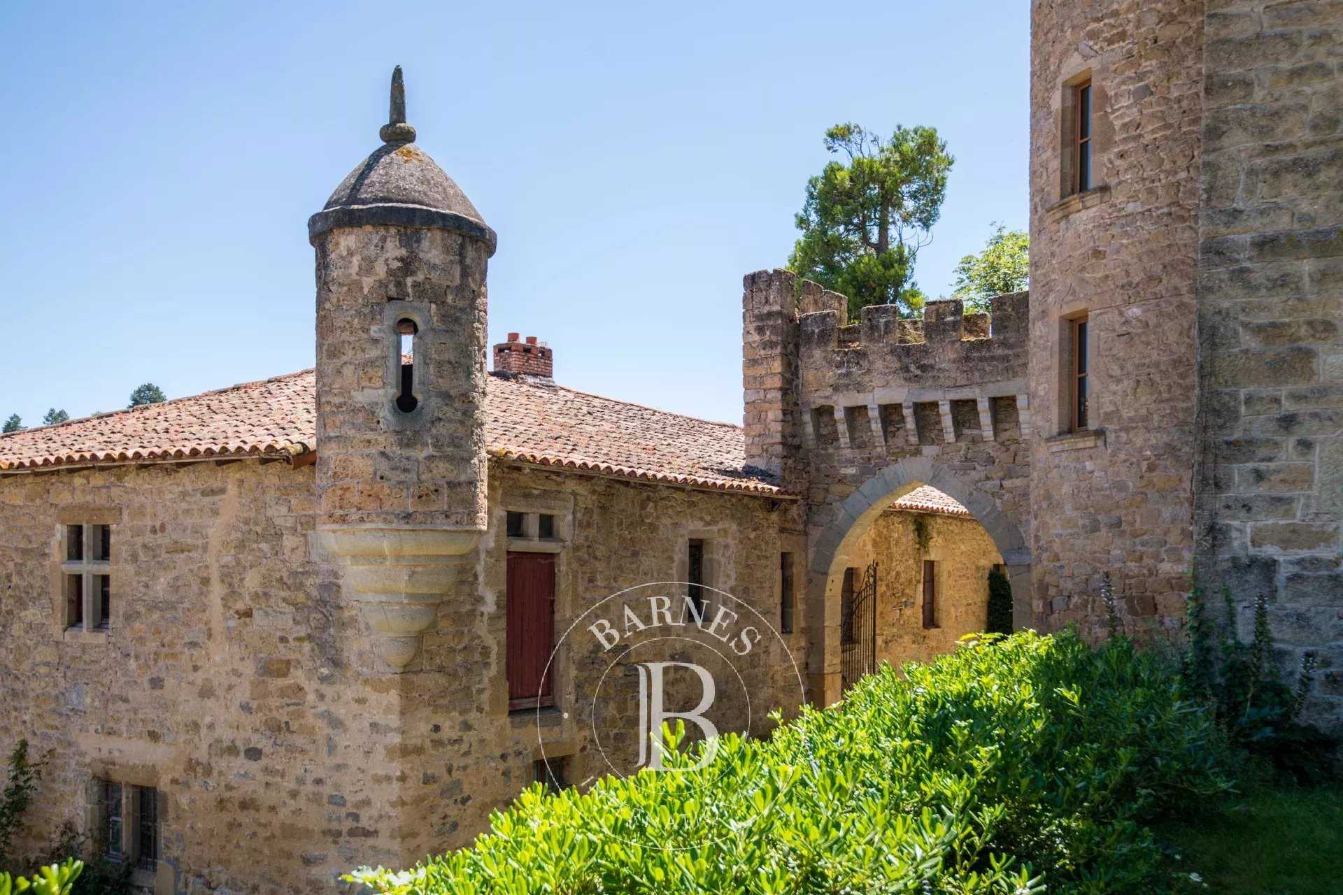 Millau  - Castle 11 Bedrooms