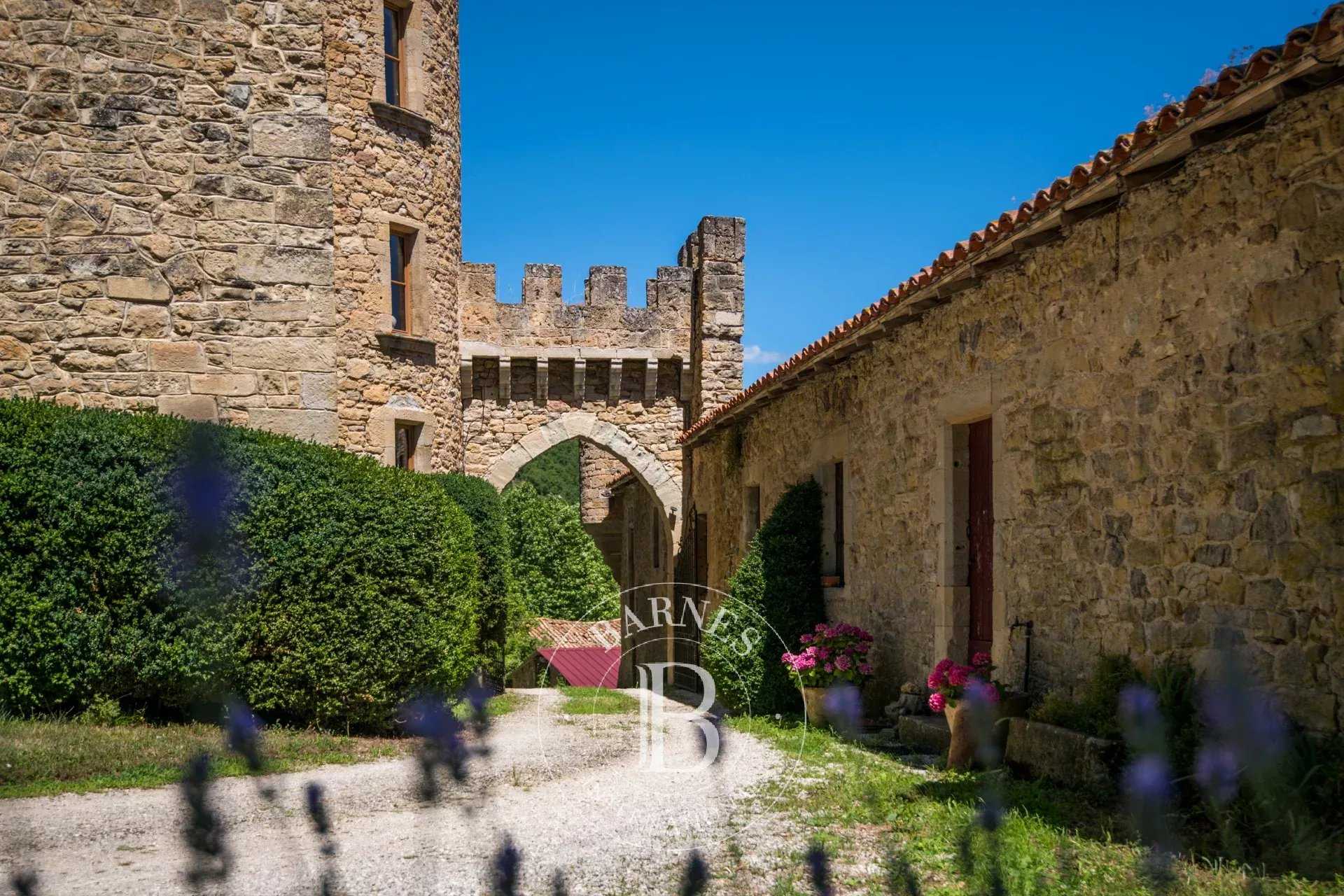 Millau  - Castle 11 Bedrooms