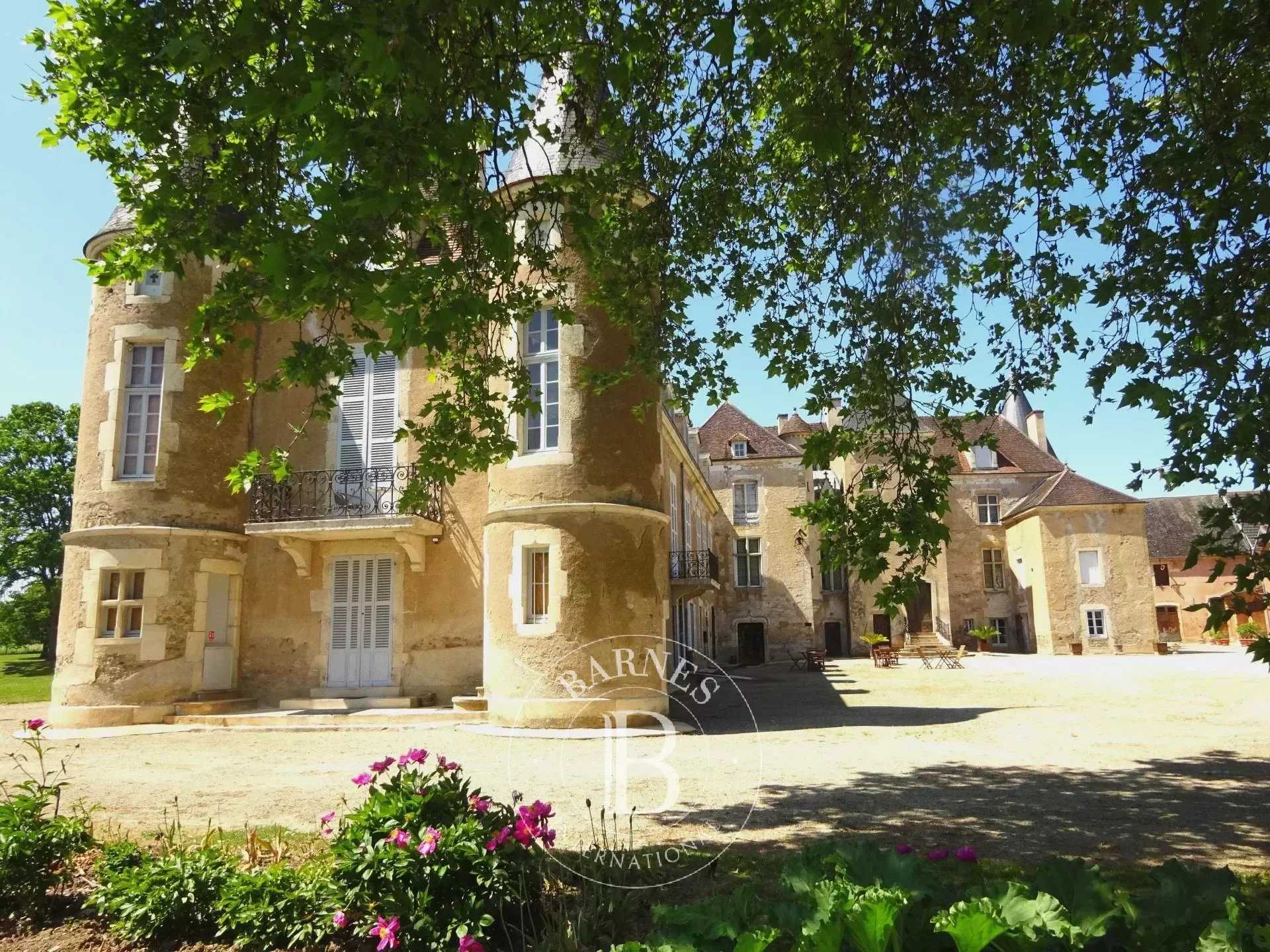 Avallon  - Château 35 Pièces 25 Chambres