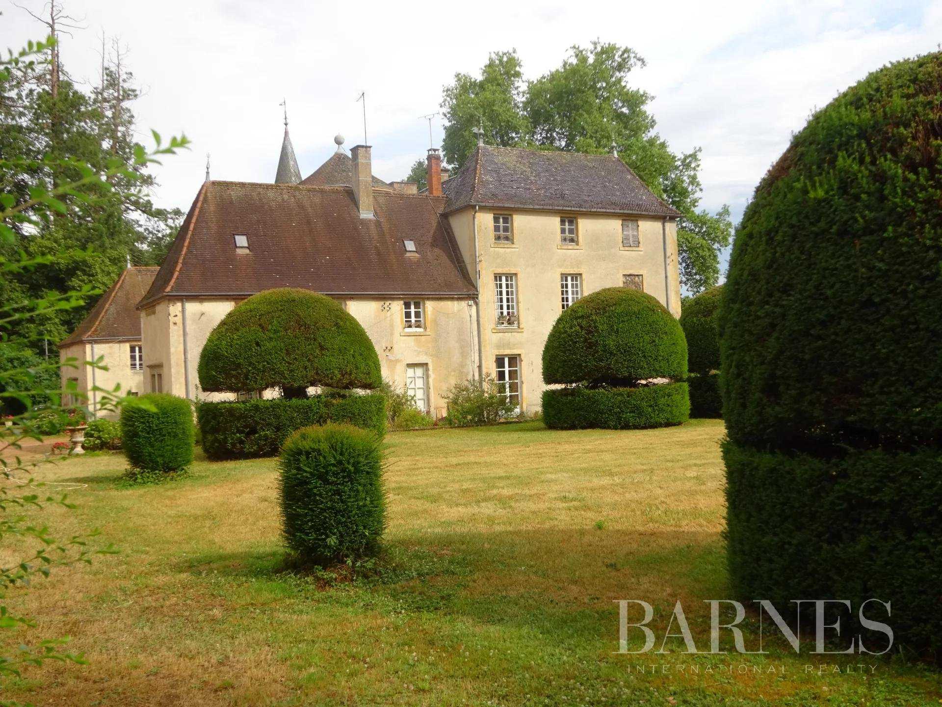 Charolles  - Château 21 Pièces 9 Chambres