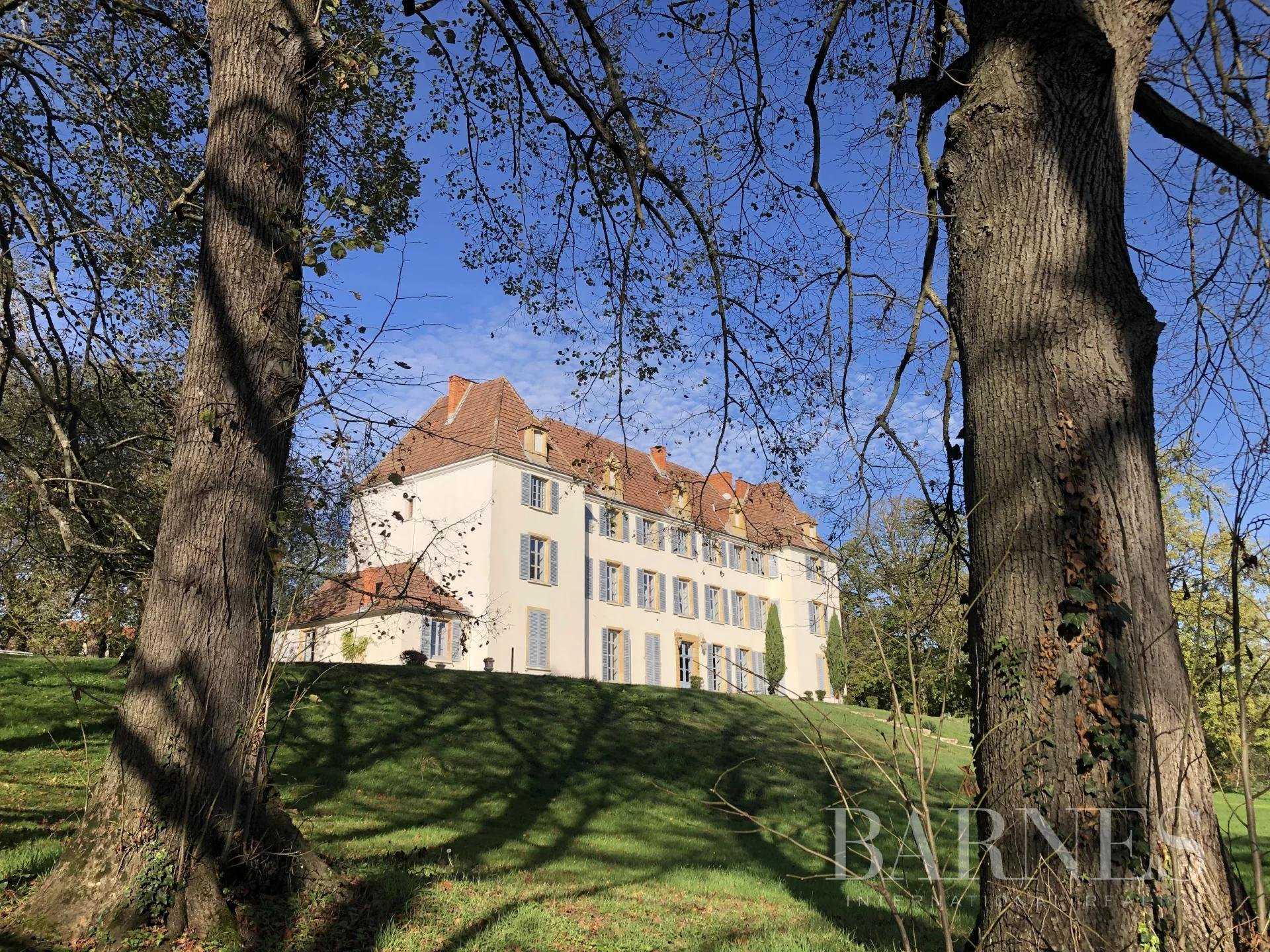 Roanne  - Château 40 Pièces