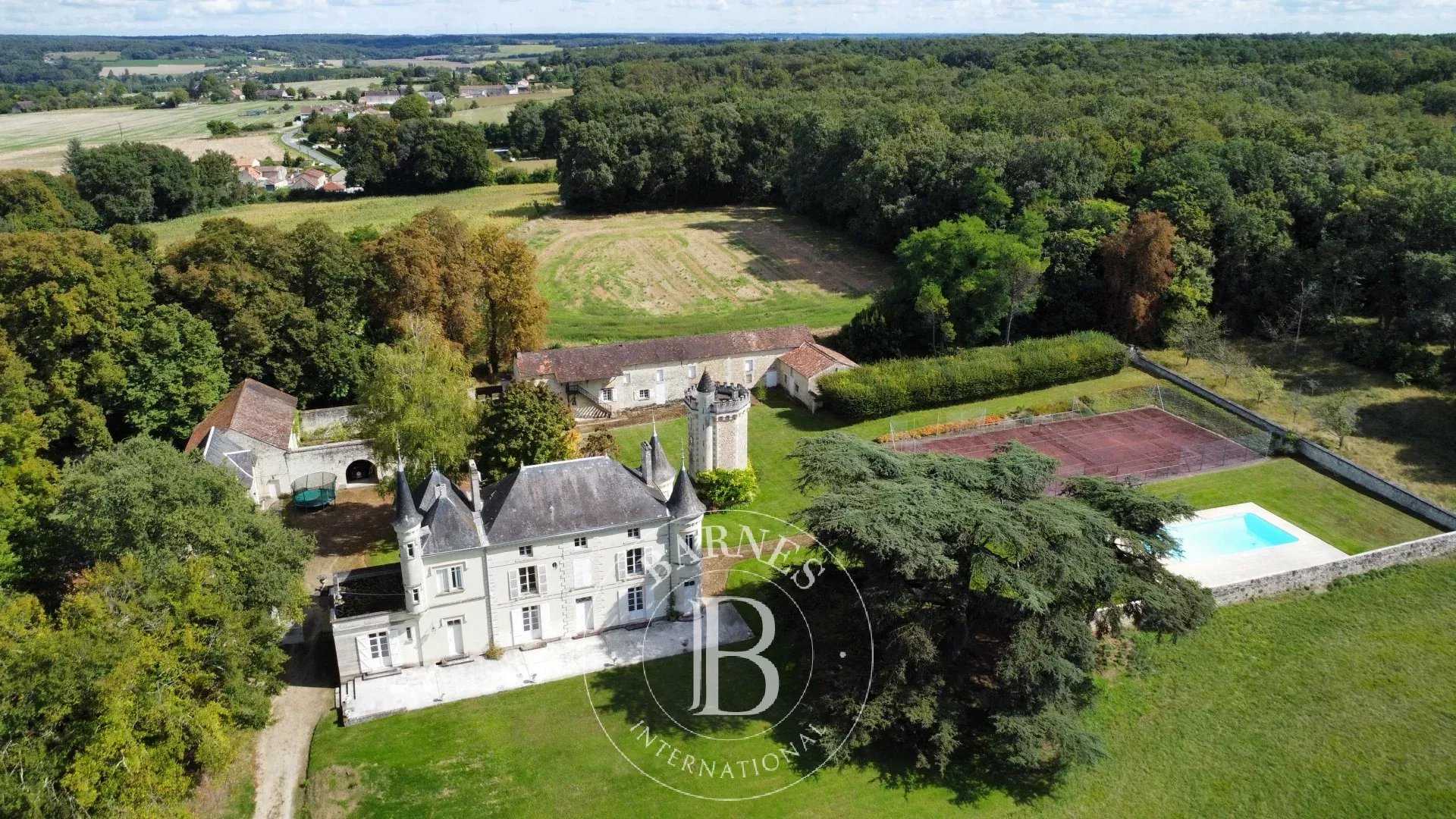 Châtellerault  - Castle 9 Bedrooms