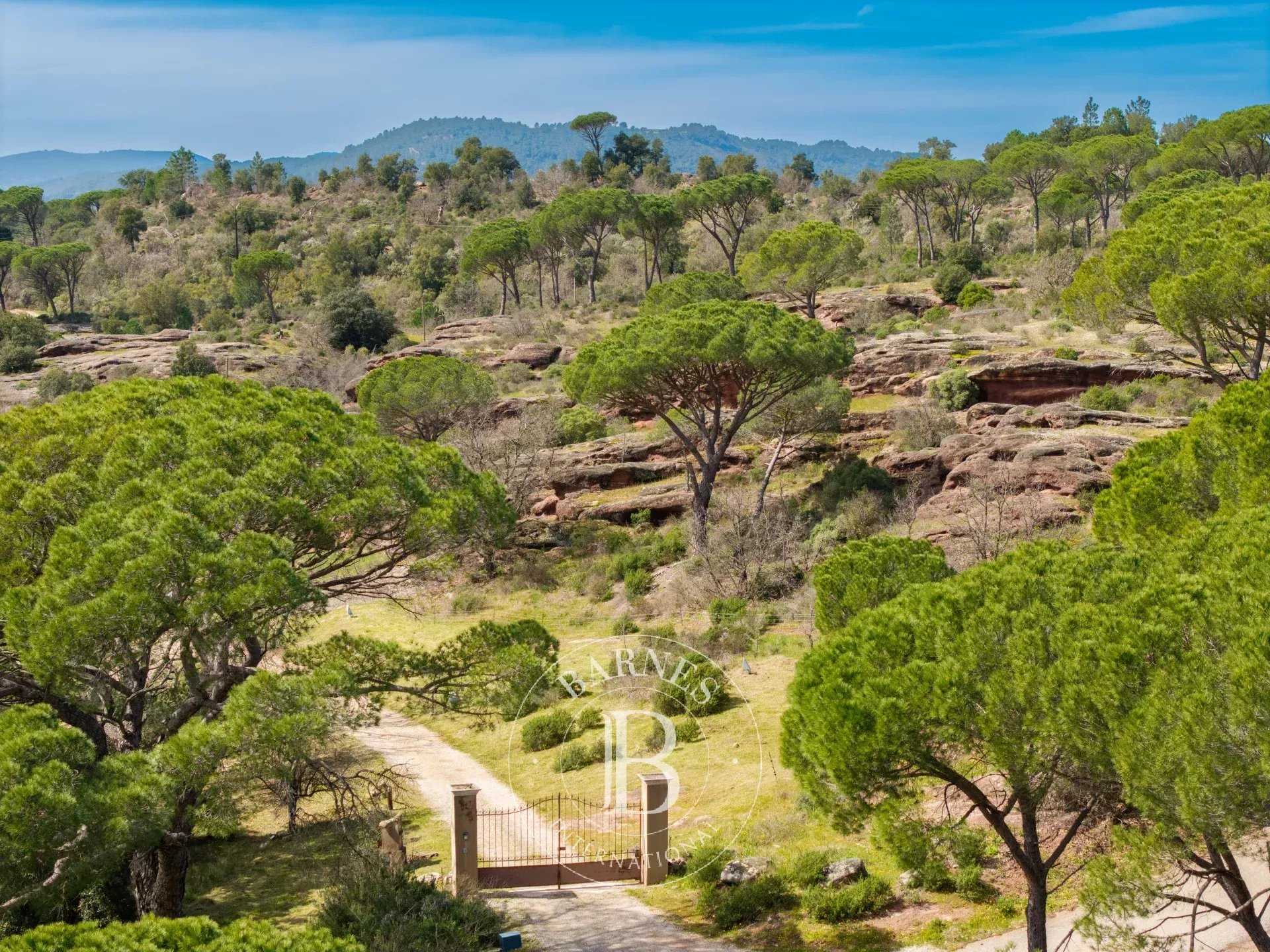 Vidauban  - Vineyard property 8 Bedrooms