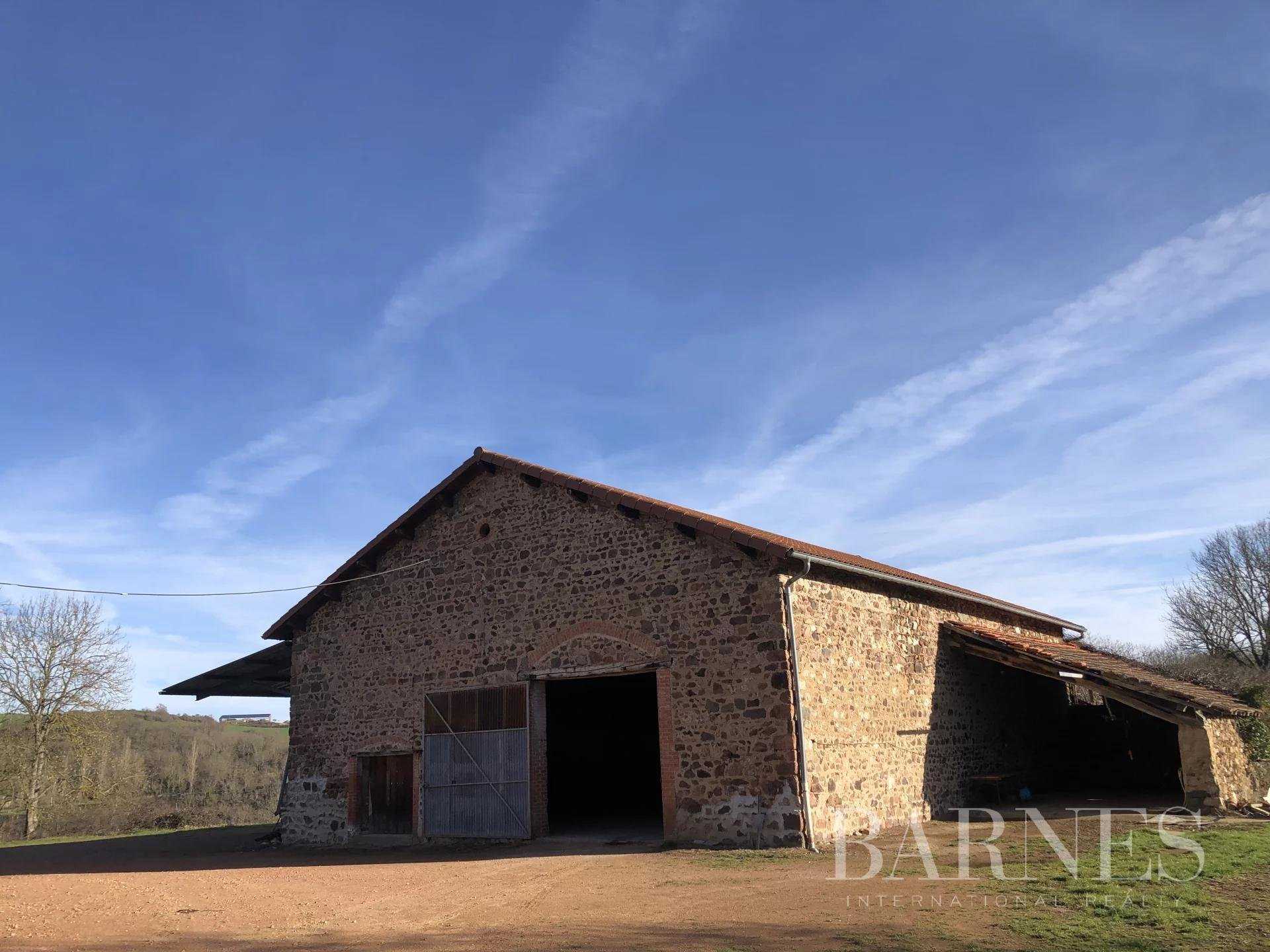 Balbigny  - Domaine de chasse 5 Pièces