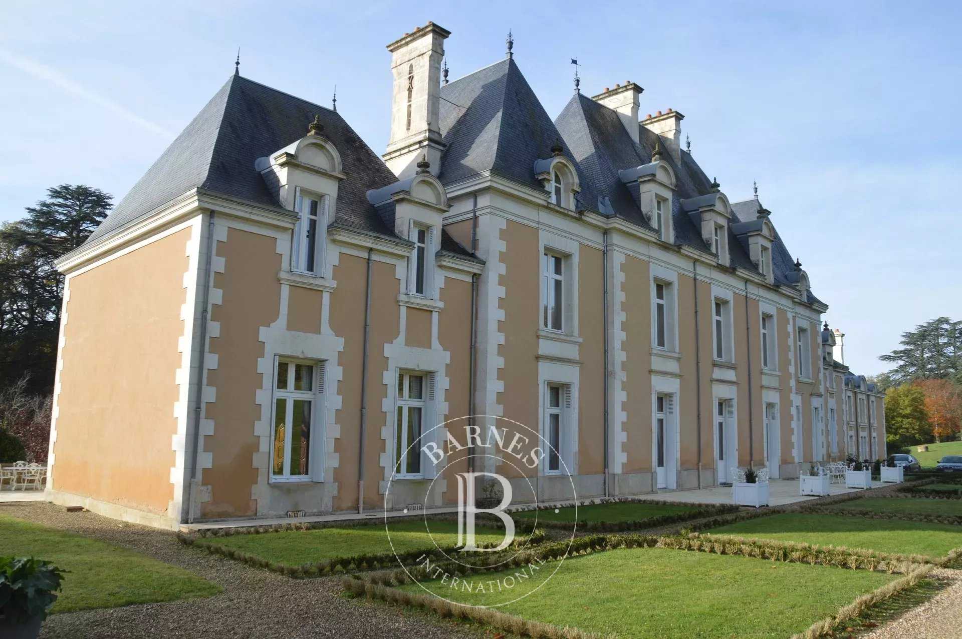 Poitiers  - Château 22 Pièces 12 Chambres