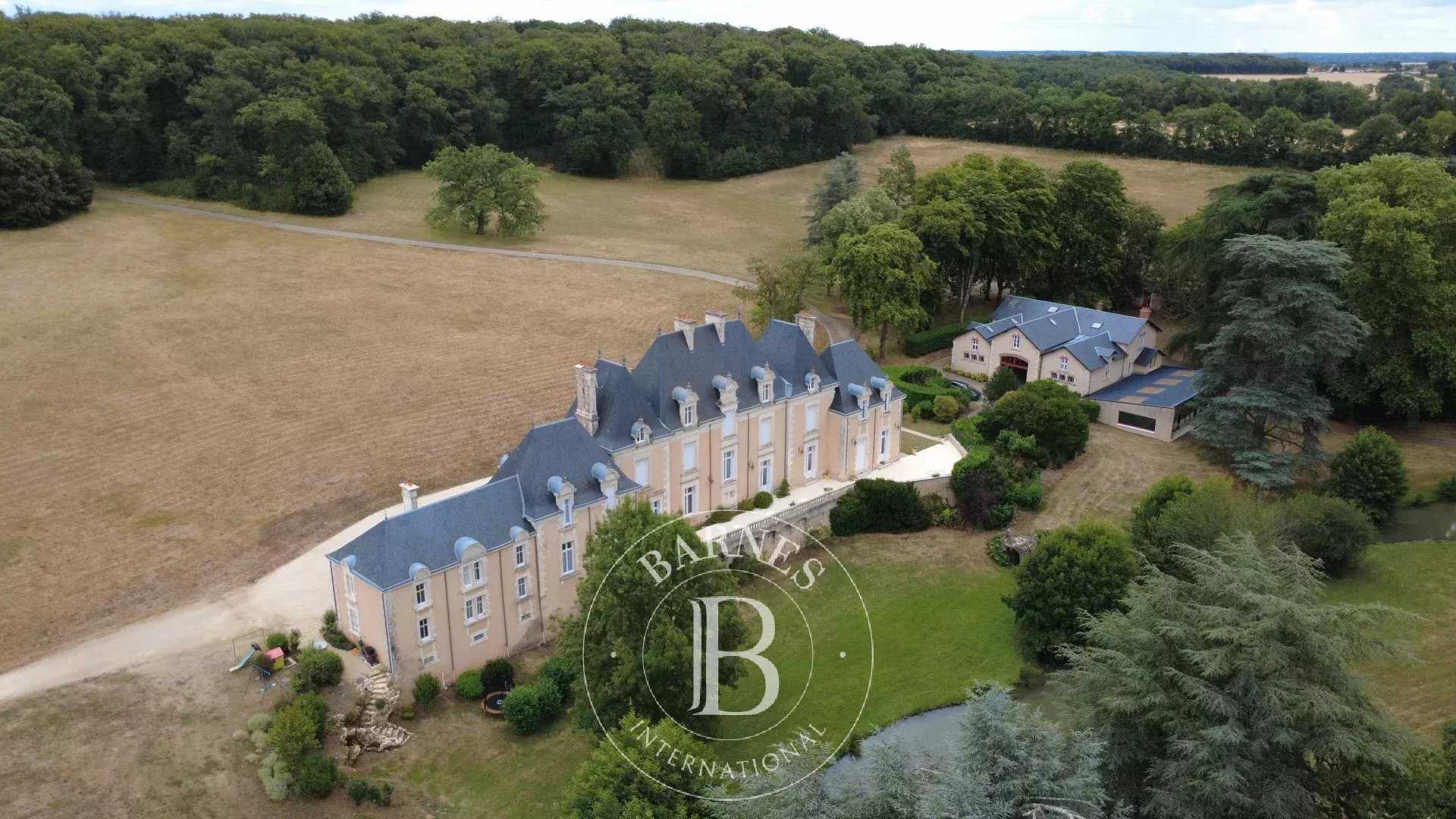 Poitiers  - Château 22 Pièces 12 Chambres