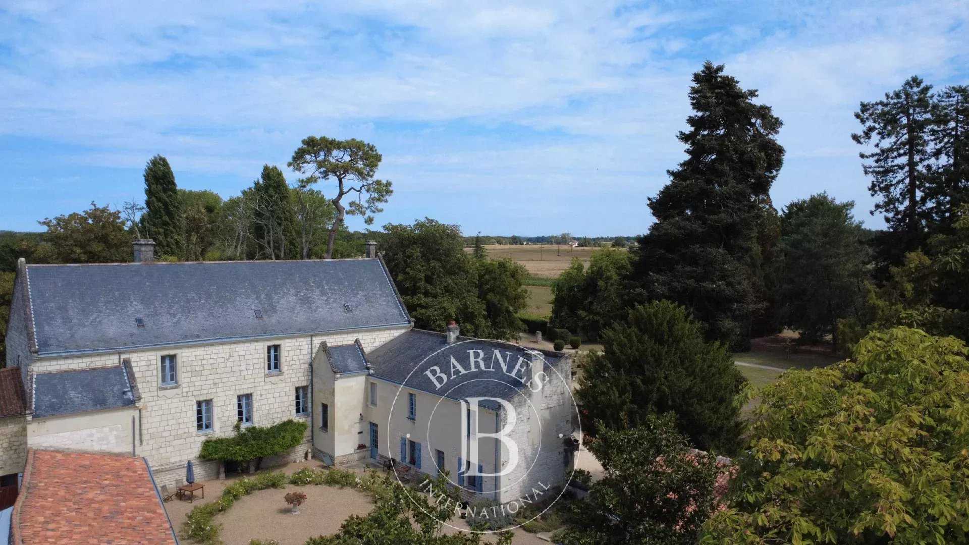 Chinon  - Château 17 Pi&egrave;ces 9 Chambres