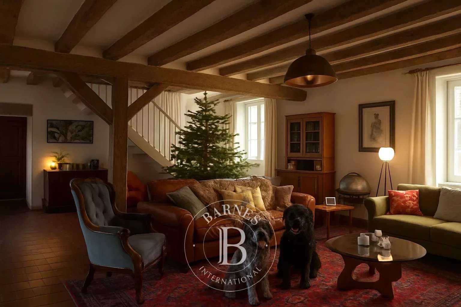 Saint-Savin  - House 8 Bedrooms