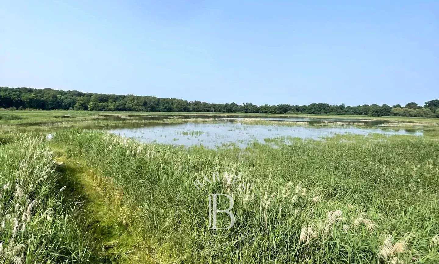 Mionnay  - Game reserve 