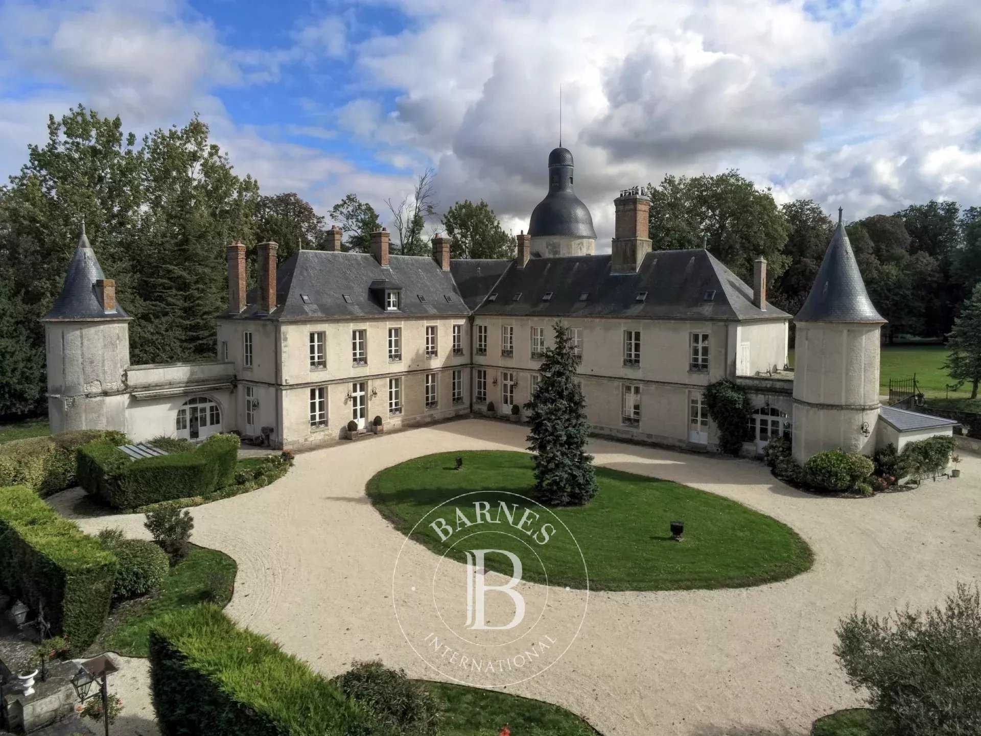 Rozay-en-Brie  - Château 18 Pièces 13 Chambres