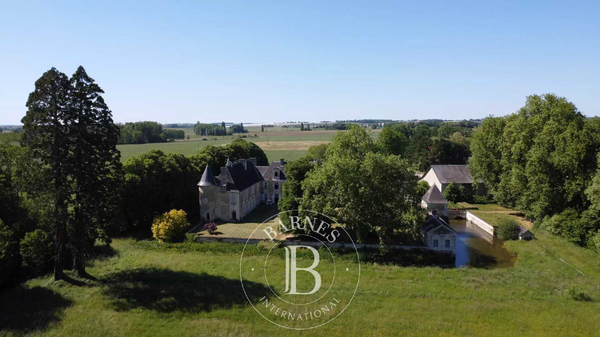 Châtellerault  - Château 18 Pièces 8 Chambres