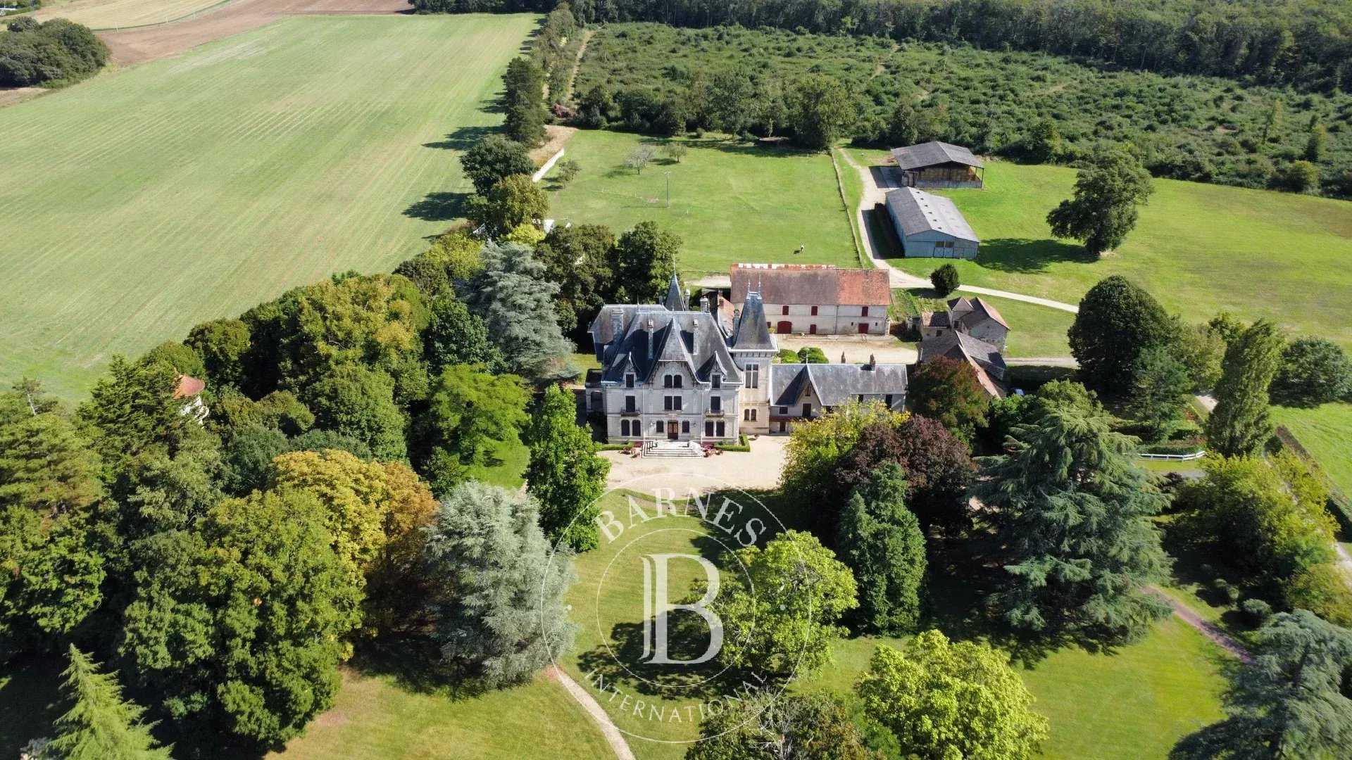 Châtellerault  - Castle 13 Bedrooms