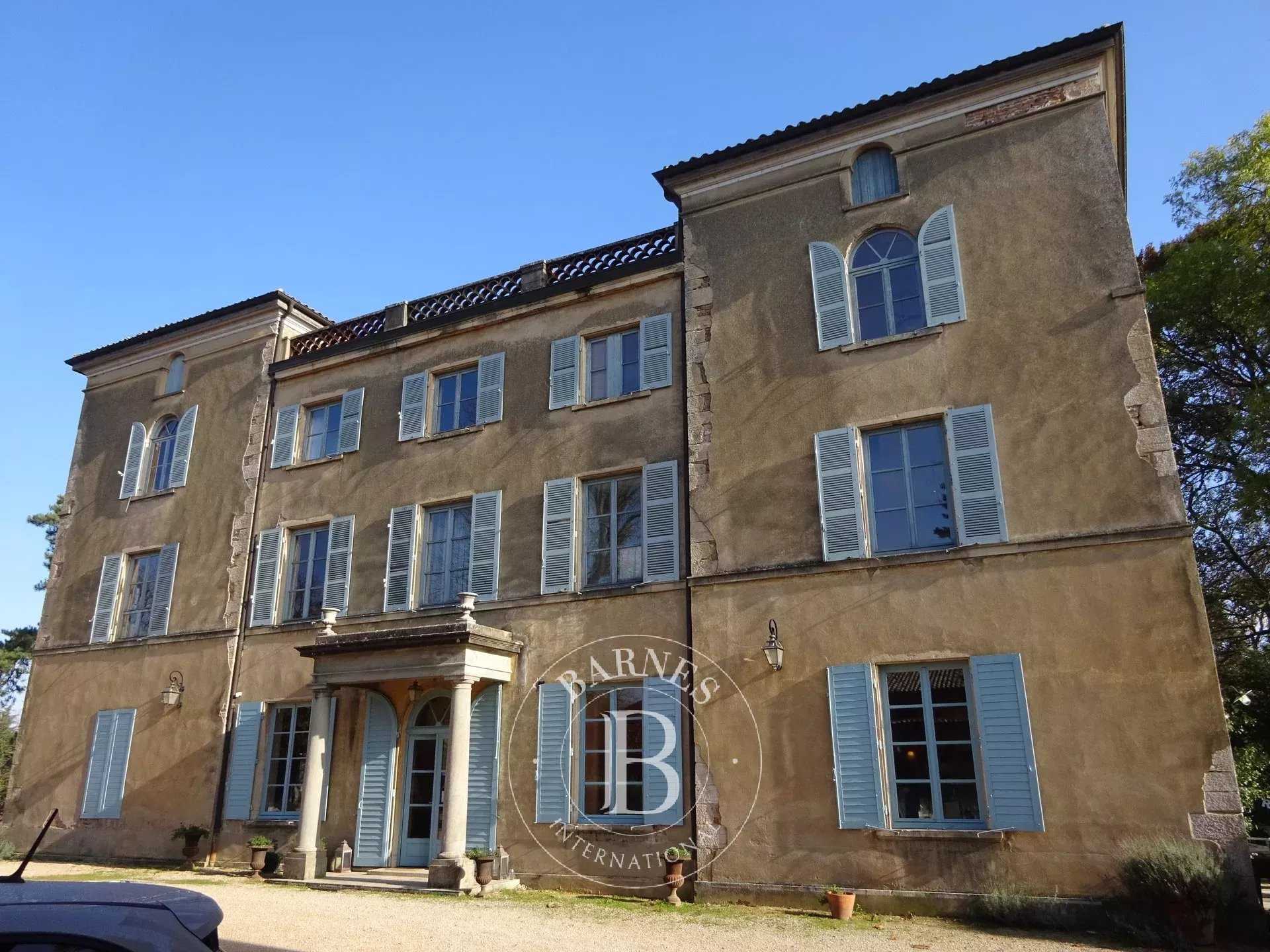 Mâcon  - Château 15 Pièces 9 Chambres