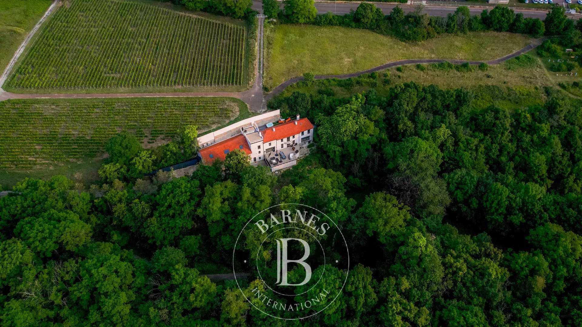 Dijon  - House 5 Bedrooms