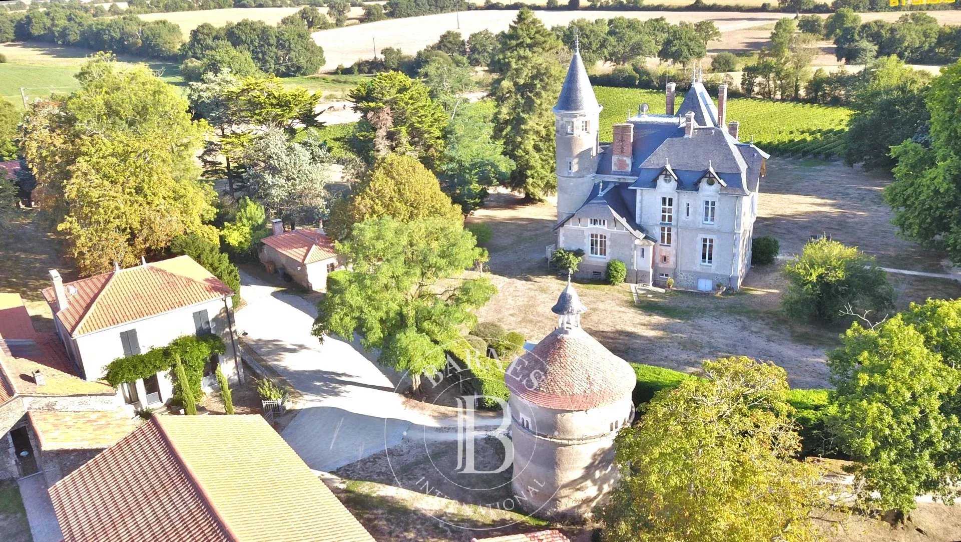 Mareuil-sur-Lay-Dissais  - Castle 16 Bedrooms