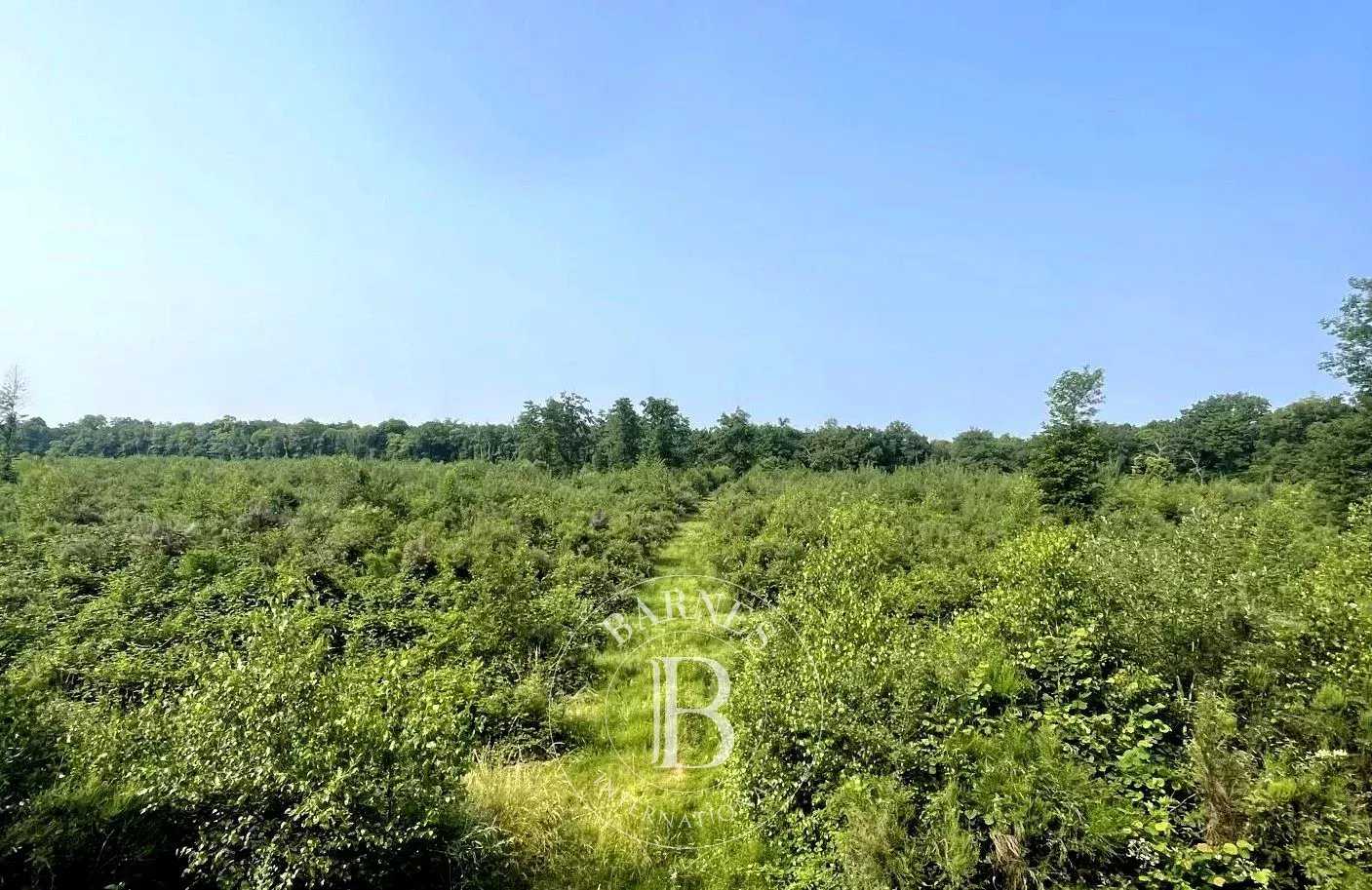 Mionnay  - Game reserve 