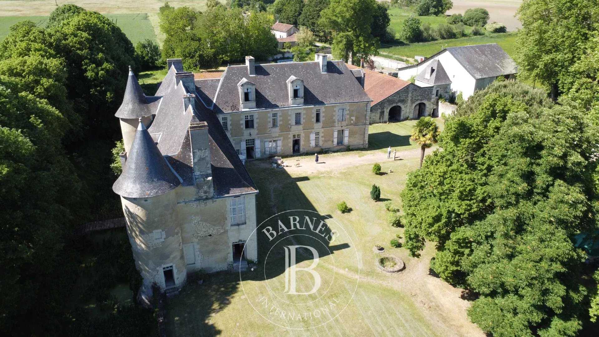 Châtellerault  - Château 18 Pièces 8 Chambres