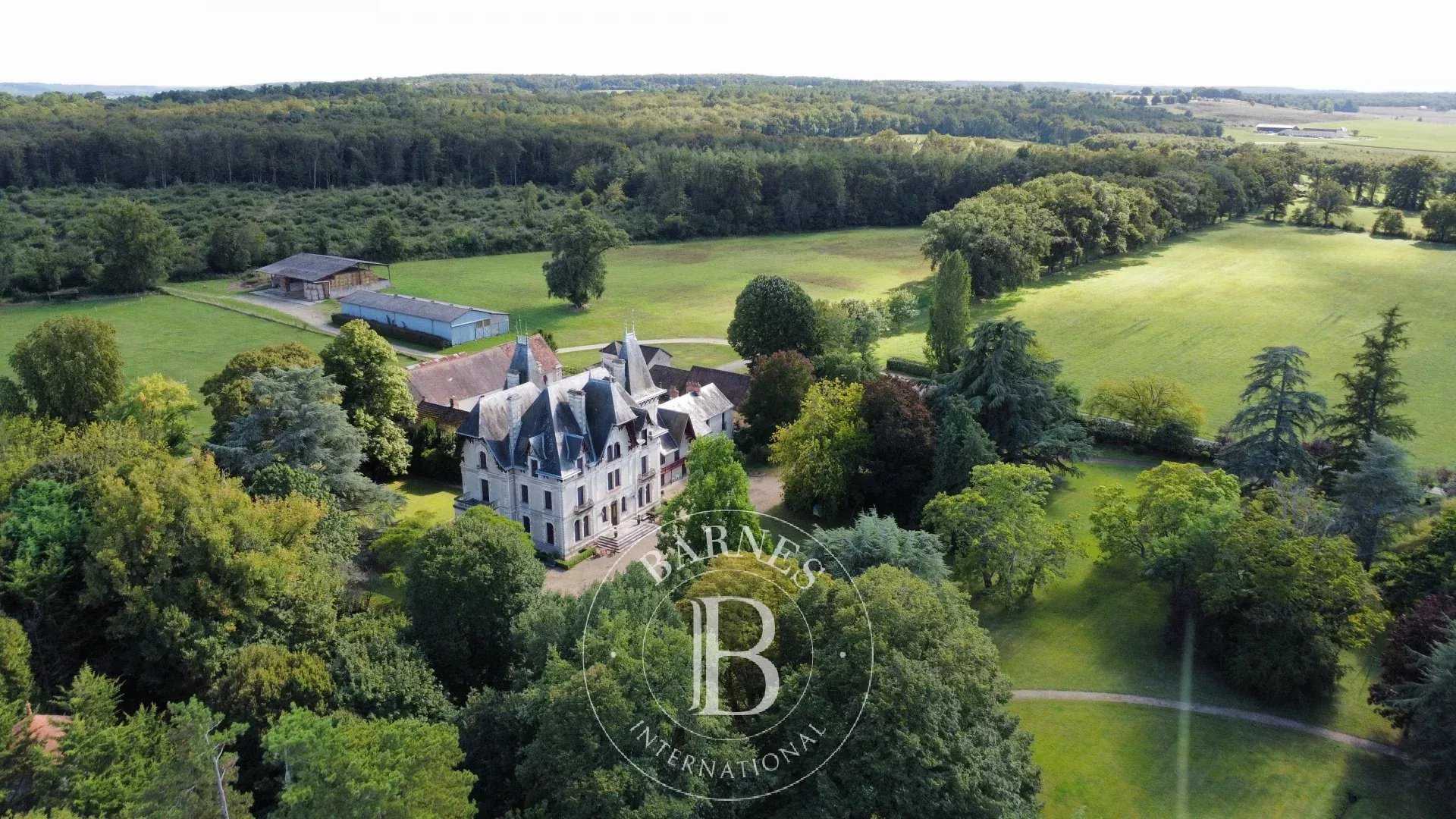 Châtellerault  - Castle 13 Bedrooms