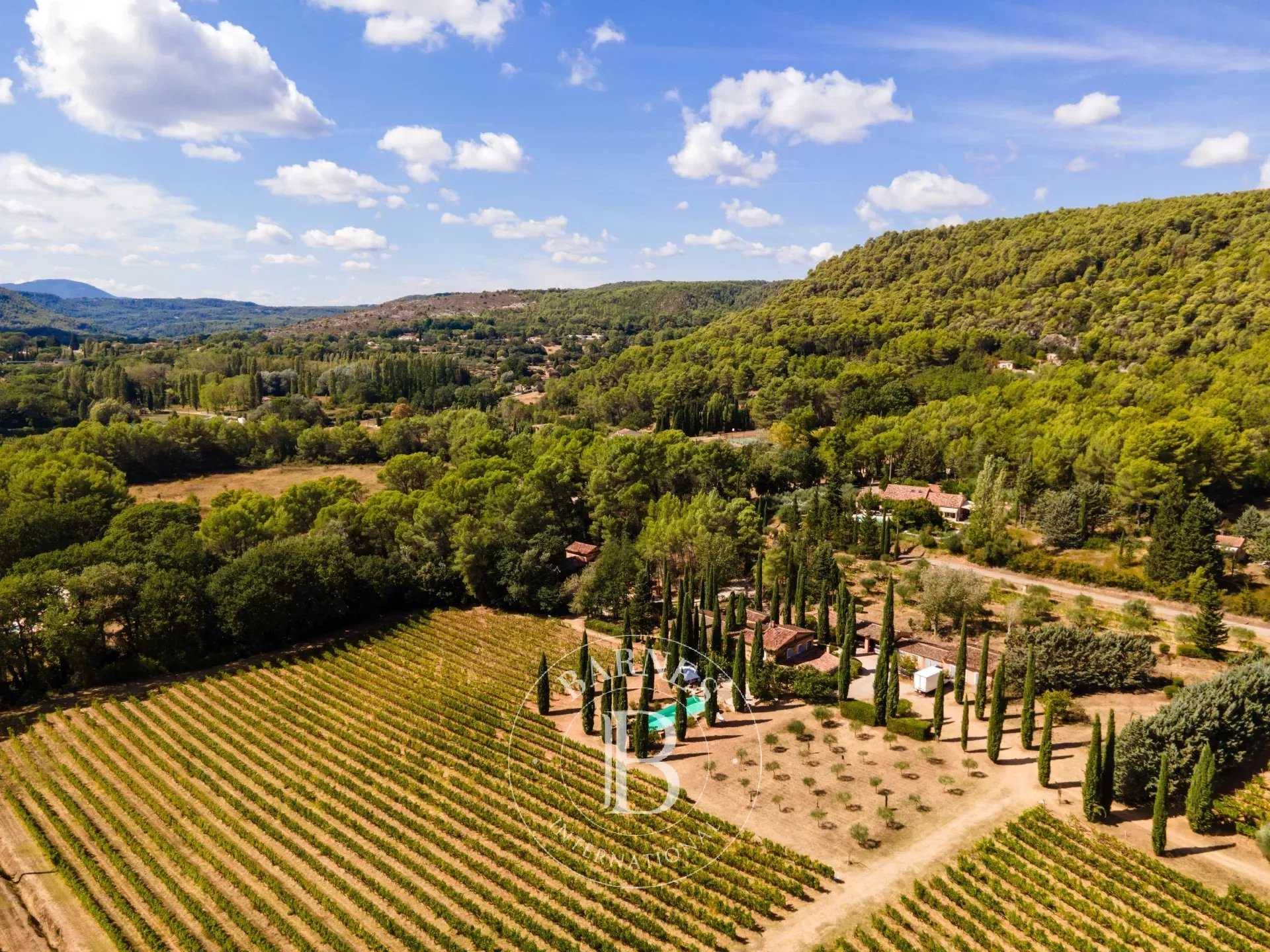 Vineyard property Villecroze