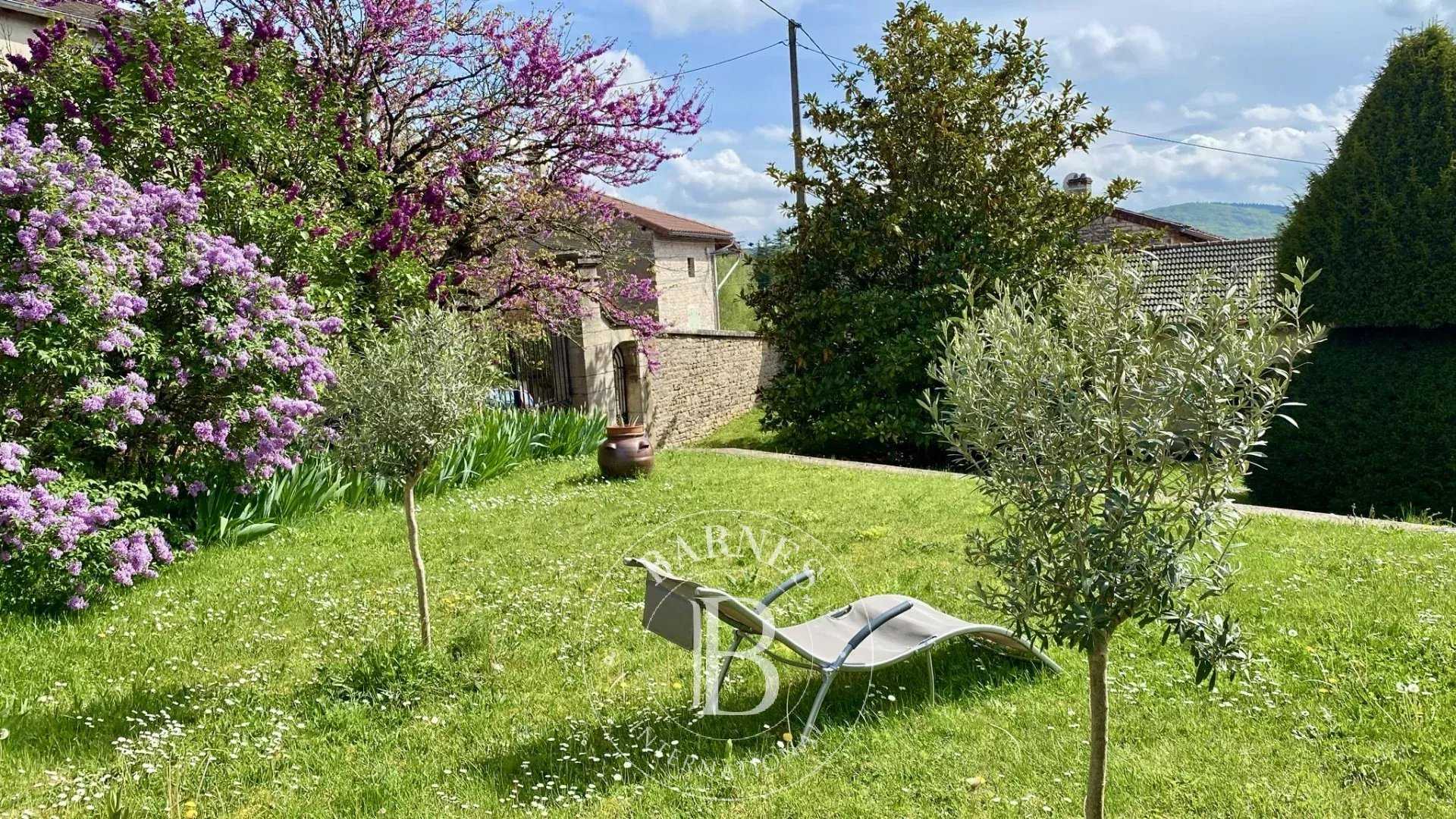 Tournus  - Propriété 18 Pièces 8 Chambres