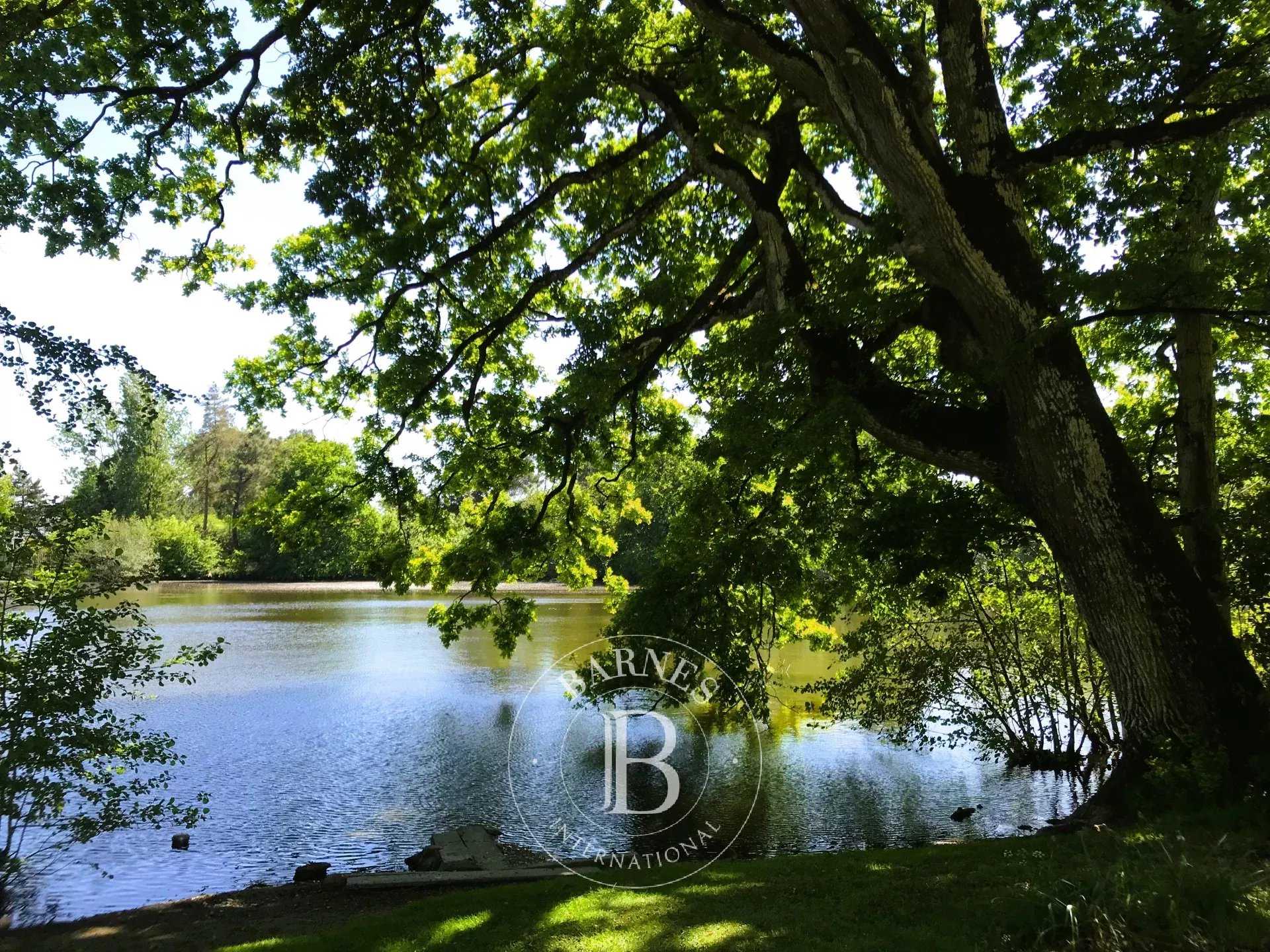 Vitré  - Castle 9 Bedrooms