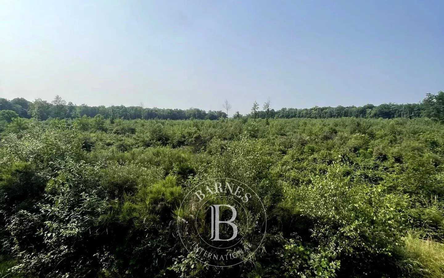 Mionnay  - Game reserve 