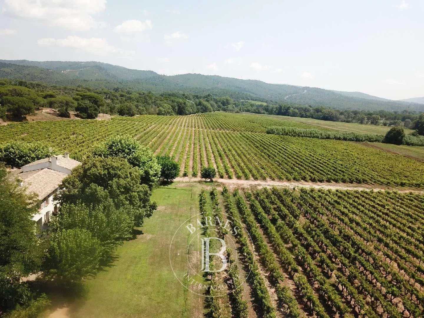 Vidauban  - Propriété viticole 13 Pi&egrave;ces 8 Chambres