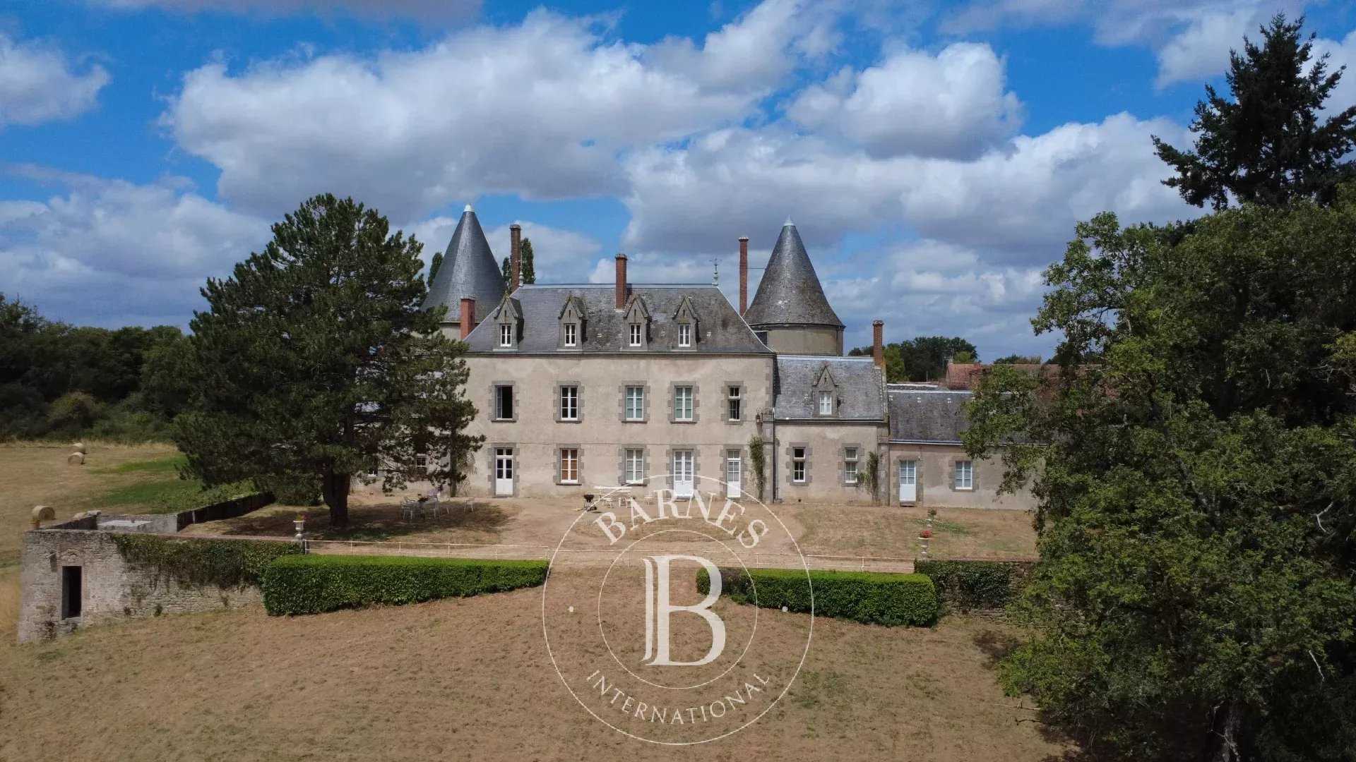 Le Dorat  - Château 12 Pi&egrave;ces 7 Chambres