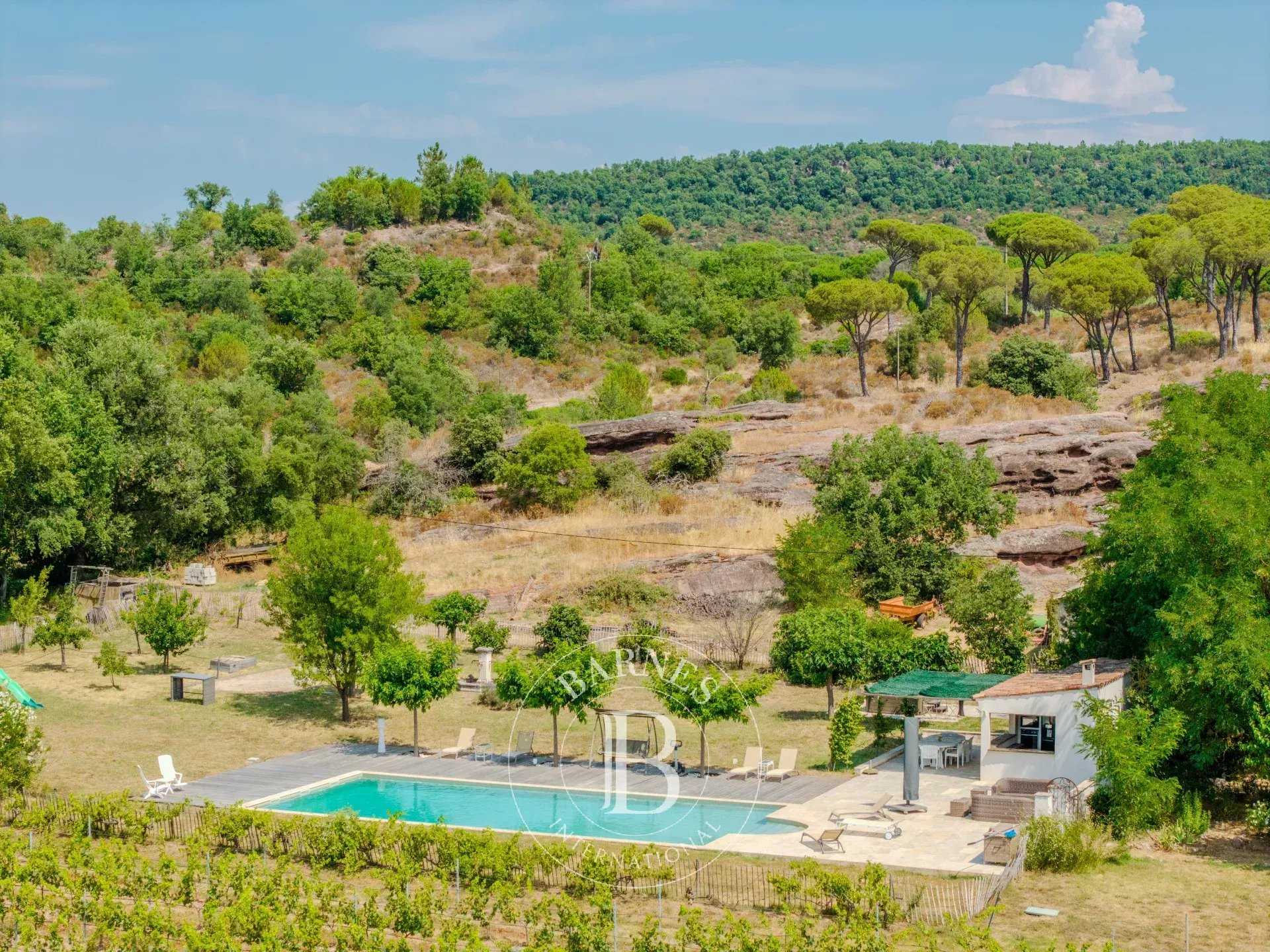 Vidauban  - Vineyard property 8 Bedrooms