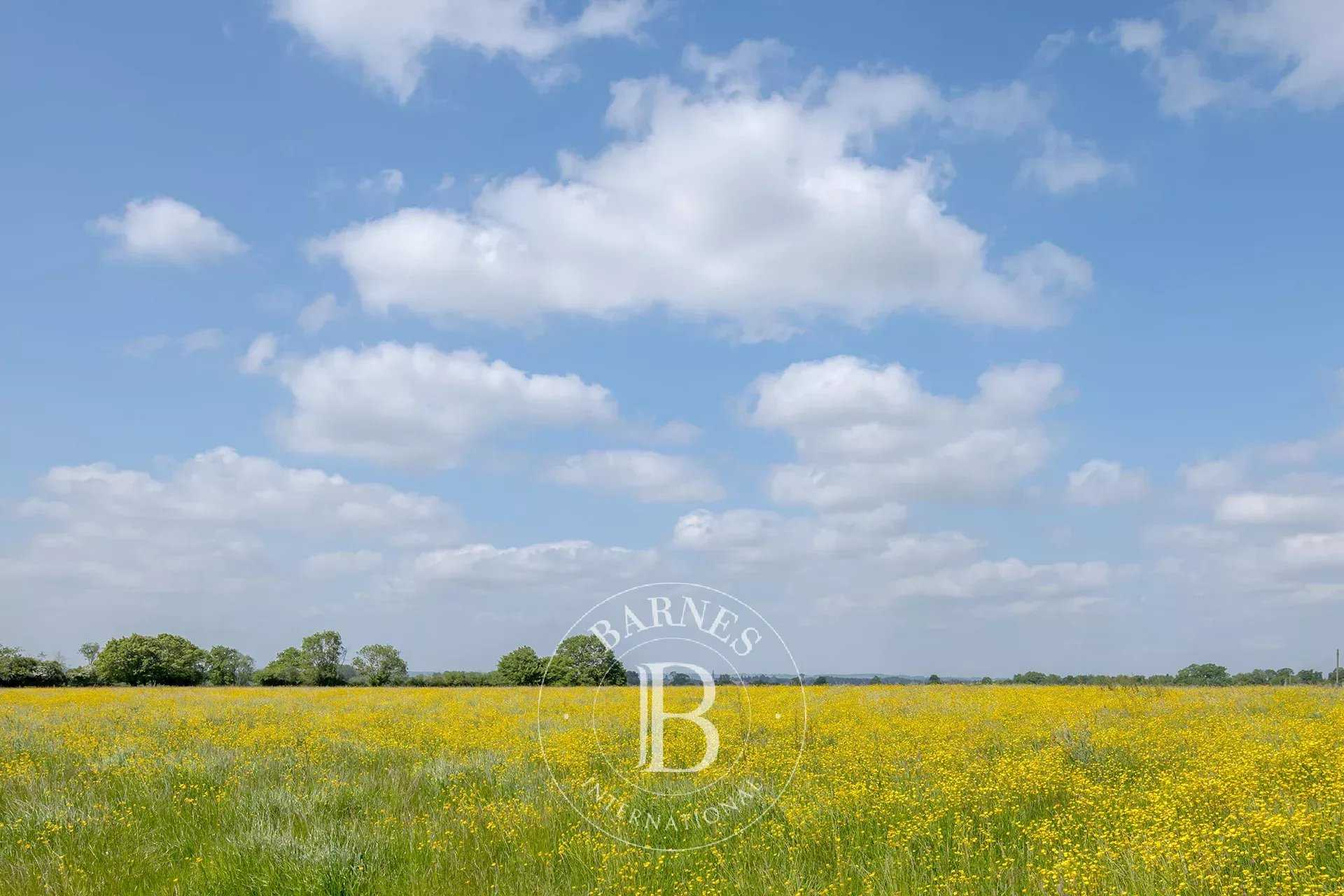 Forges-les-Eaux  - Property 5 Bedrooms