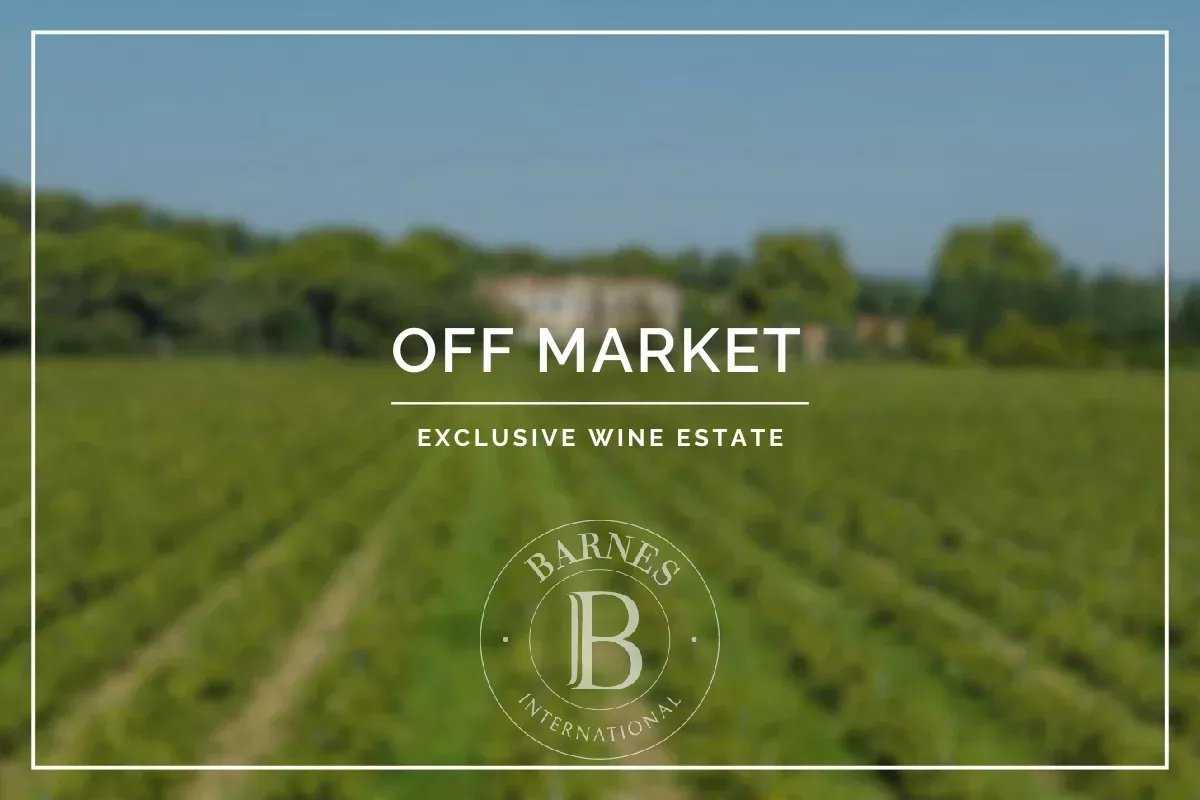 Avignon  - Propriété viticole 10 Pi&egrave;ces