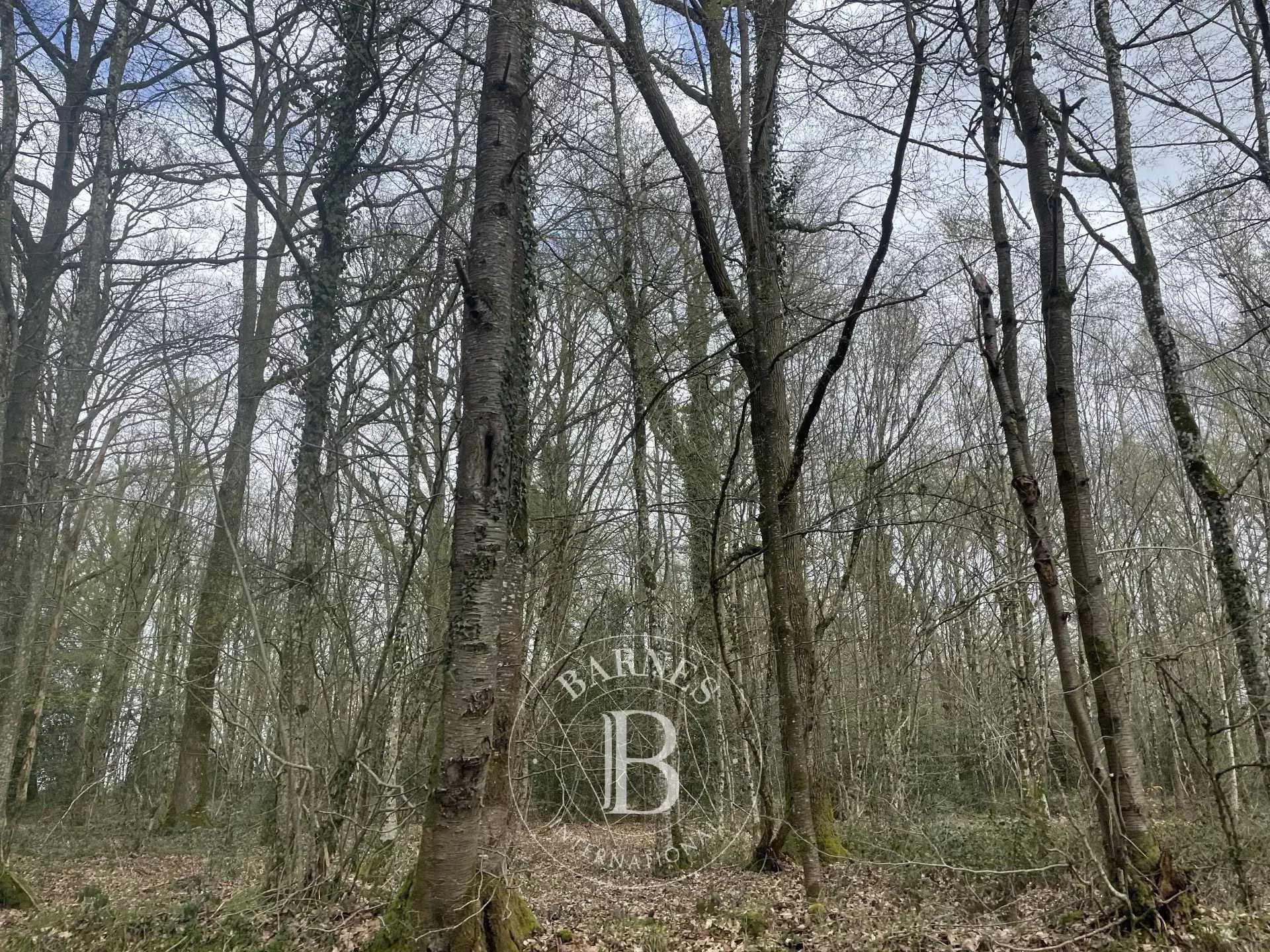 La Croix-du-Perche  - Propriété 20 Pi&egrave;ces