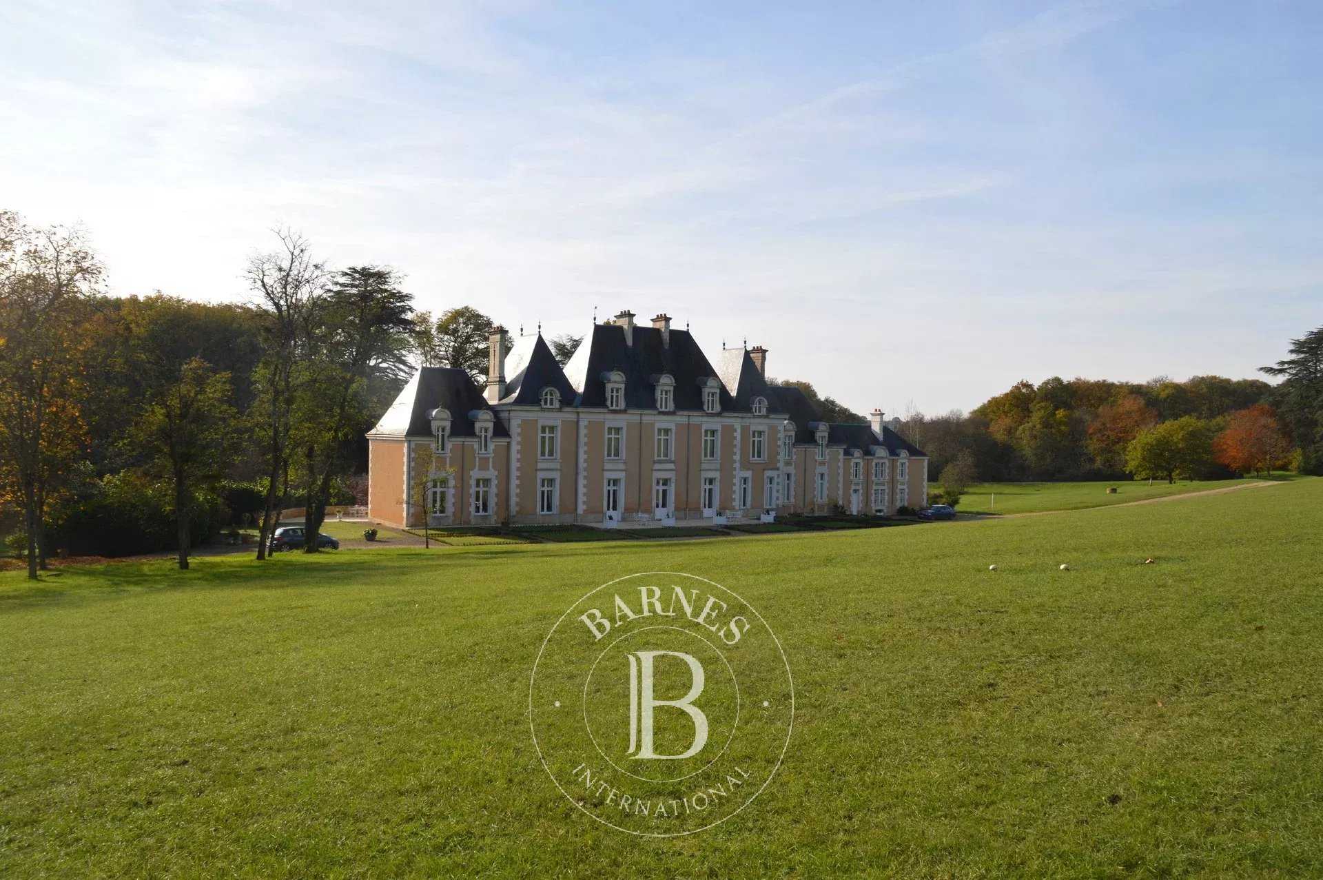 Poitiers  - Château 22 Pièces 12 Chambres