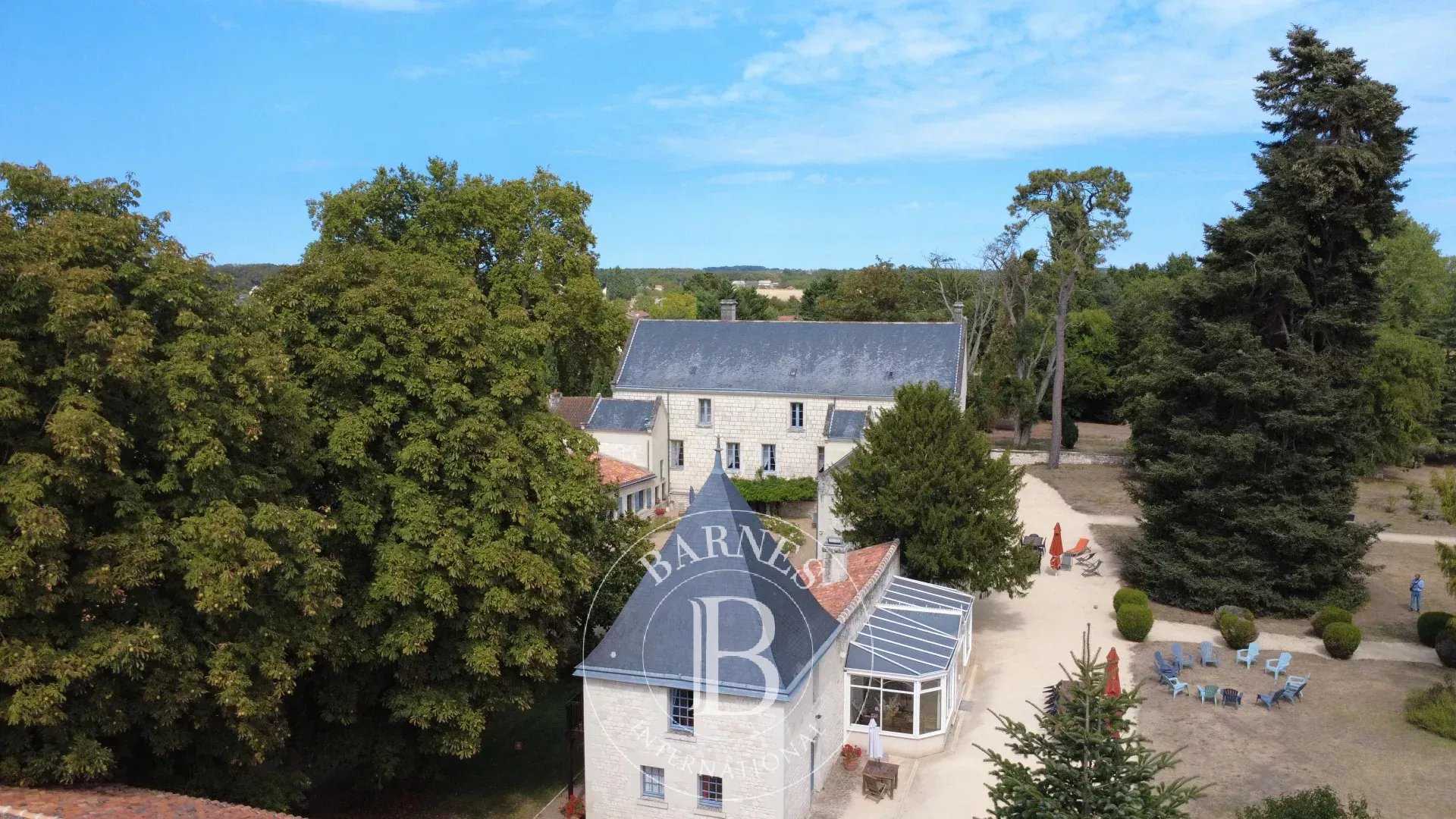 Chinon  - Château 17 Pi&egrave;ces 9 Chambres