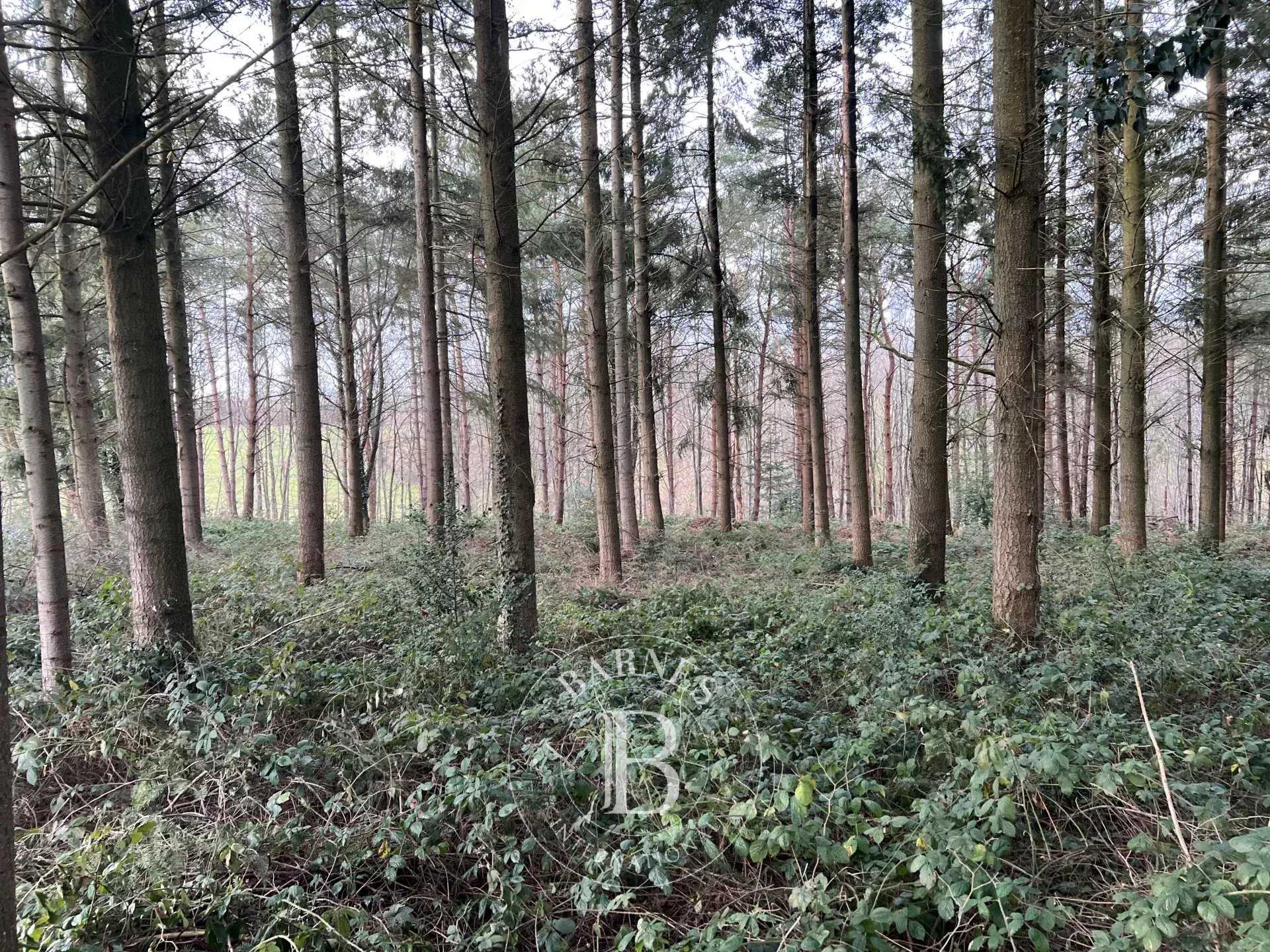 Rouen  - Domaine de chasse 