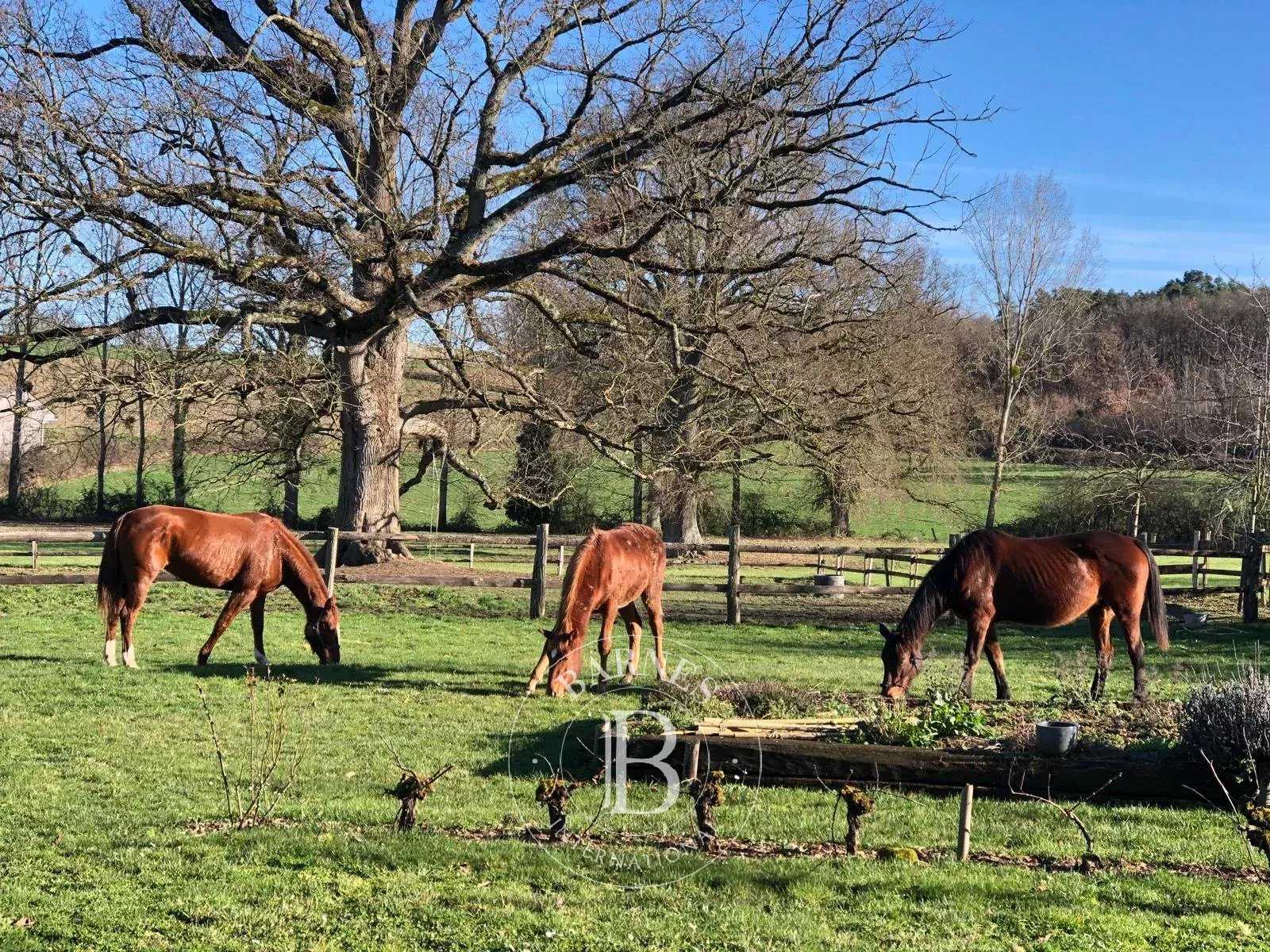 La Roche-Posay  - Maison 8 Pi&egrave;ces 6 Chambres