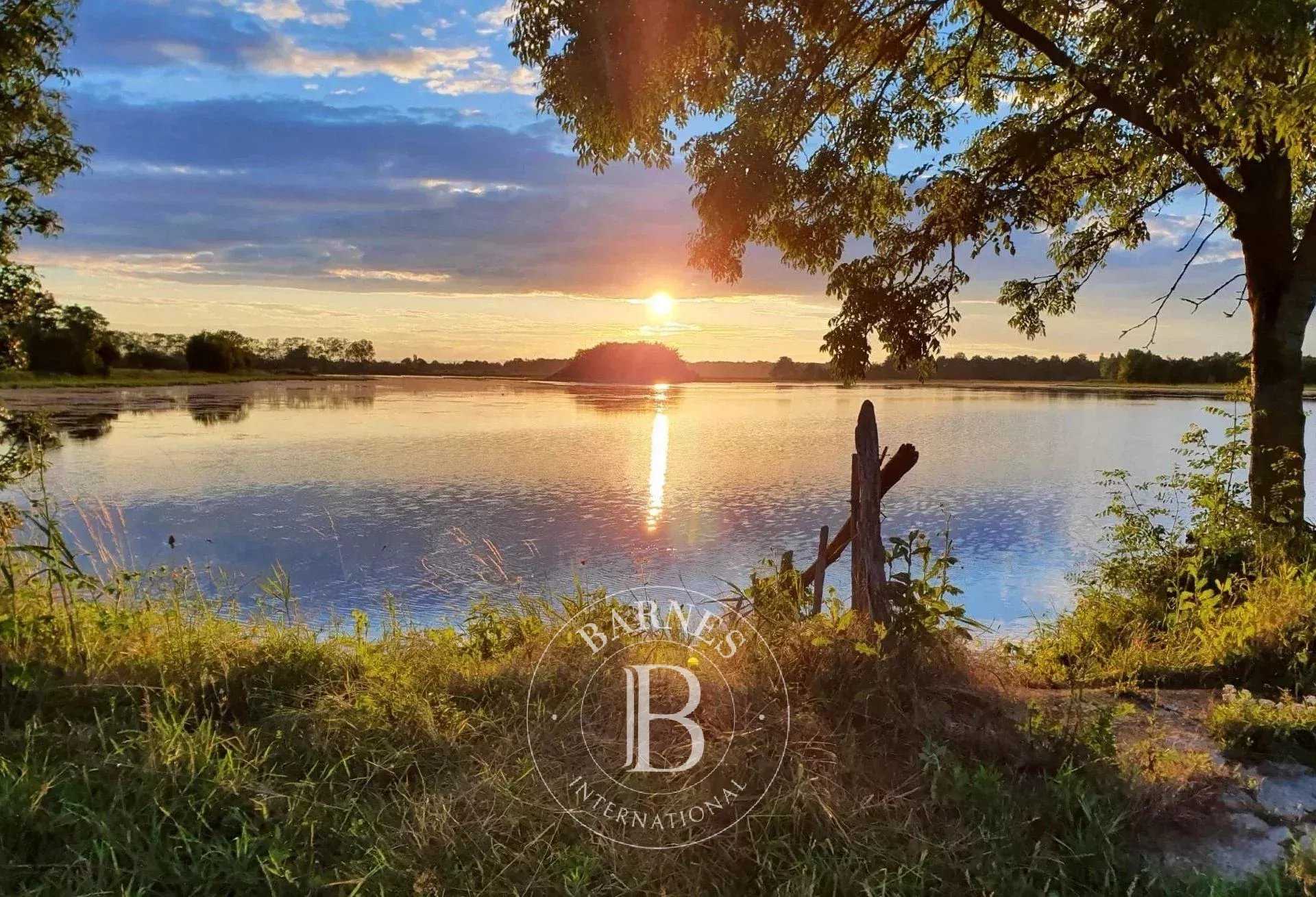 Villars-les-Dombes  - Propriété 