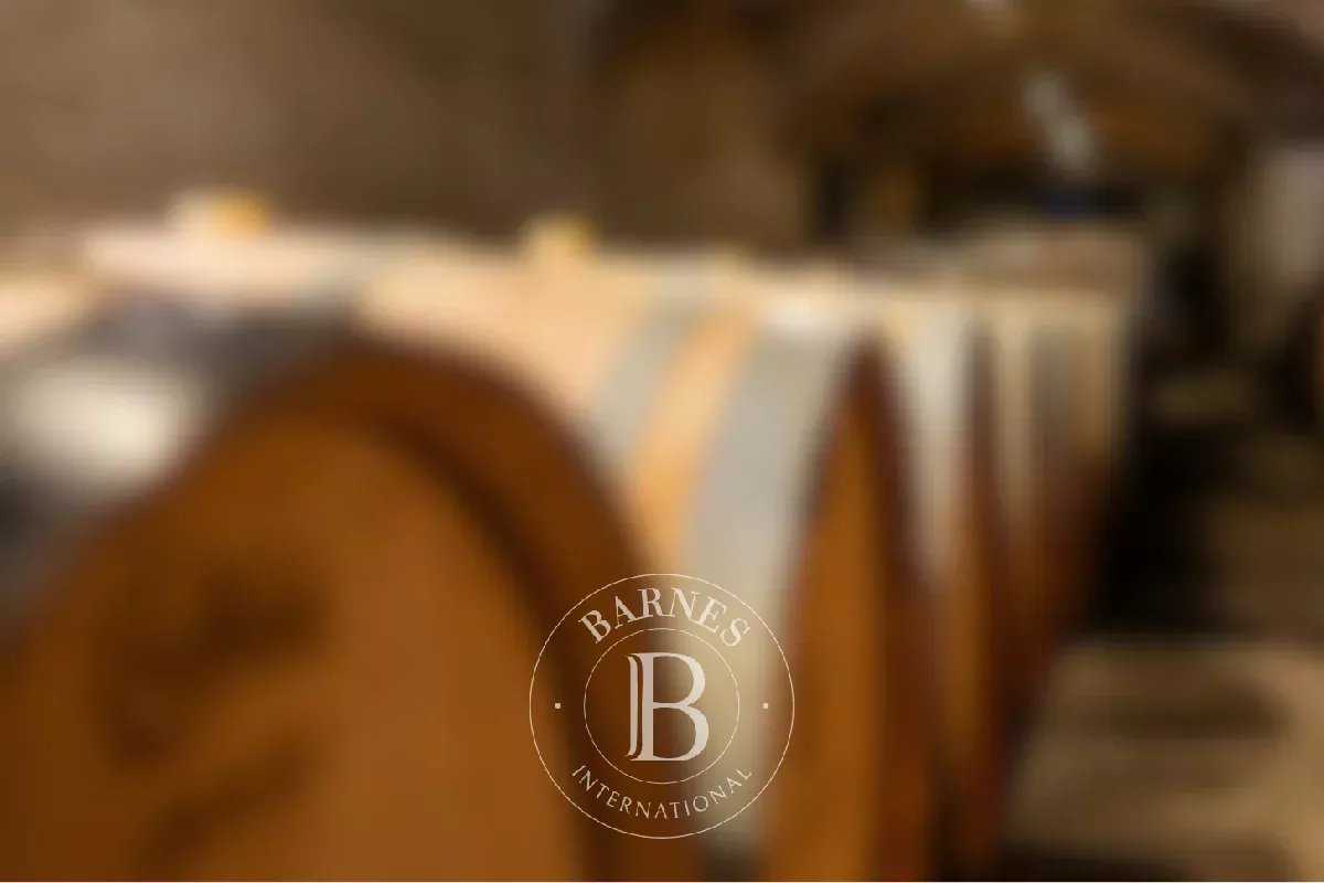 Avignon  - Propriété viticole 10 Pi&egrave;ces