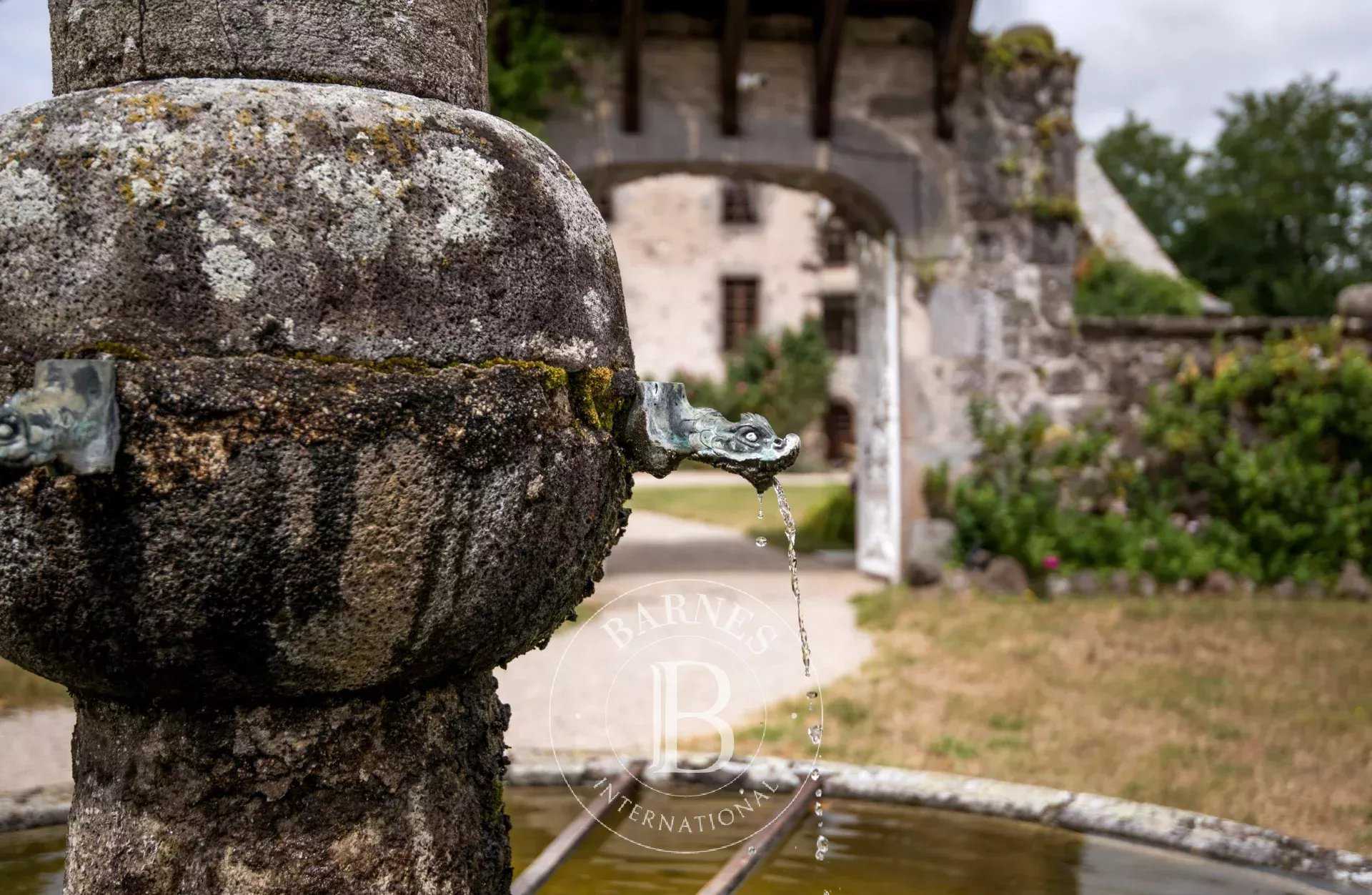 Aurillac  - Château 20 Pi&egrave;ces
