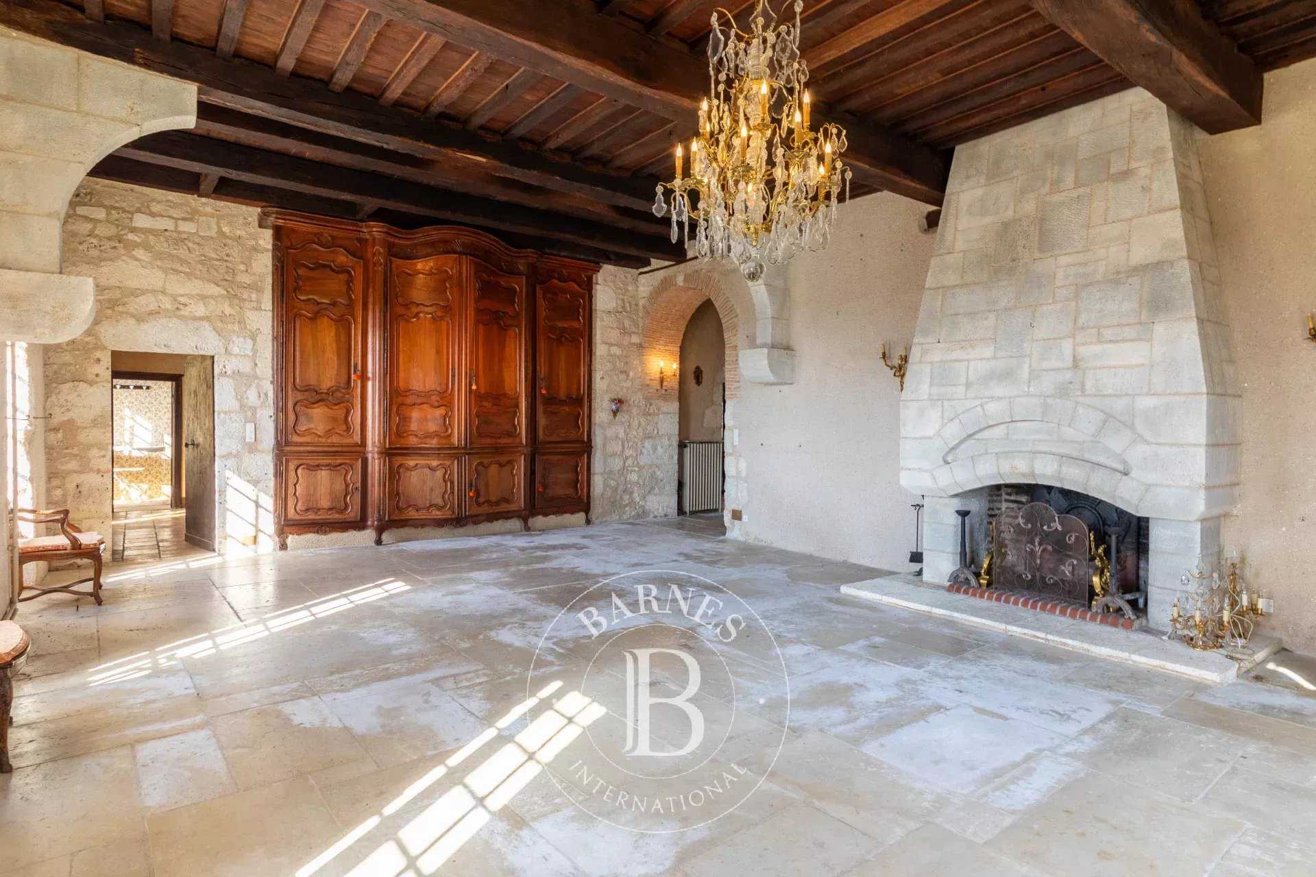 Agen  - Château 15 Pièces 5 Chambres