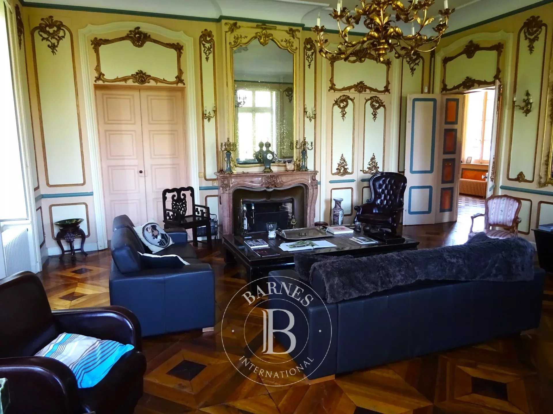 Mâcon  - Château 15 Pièces 9 Chambres