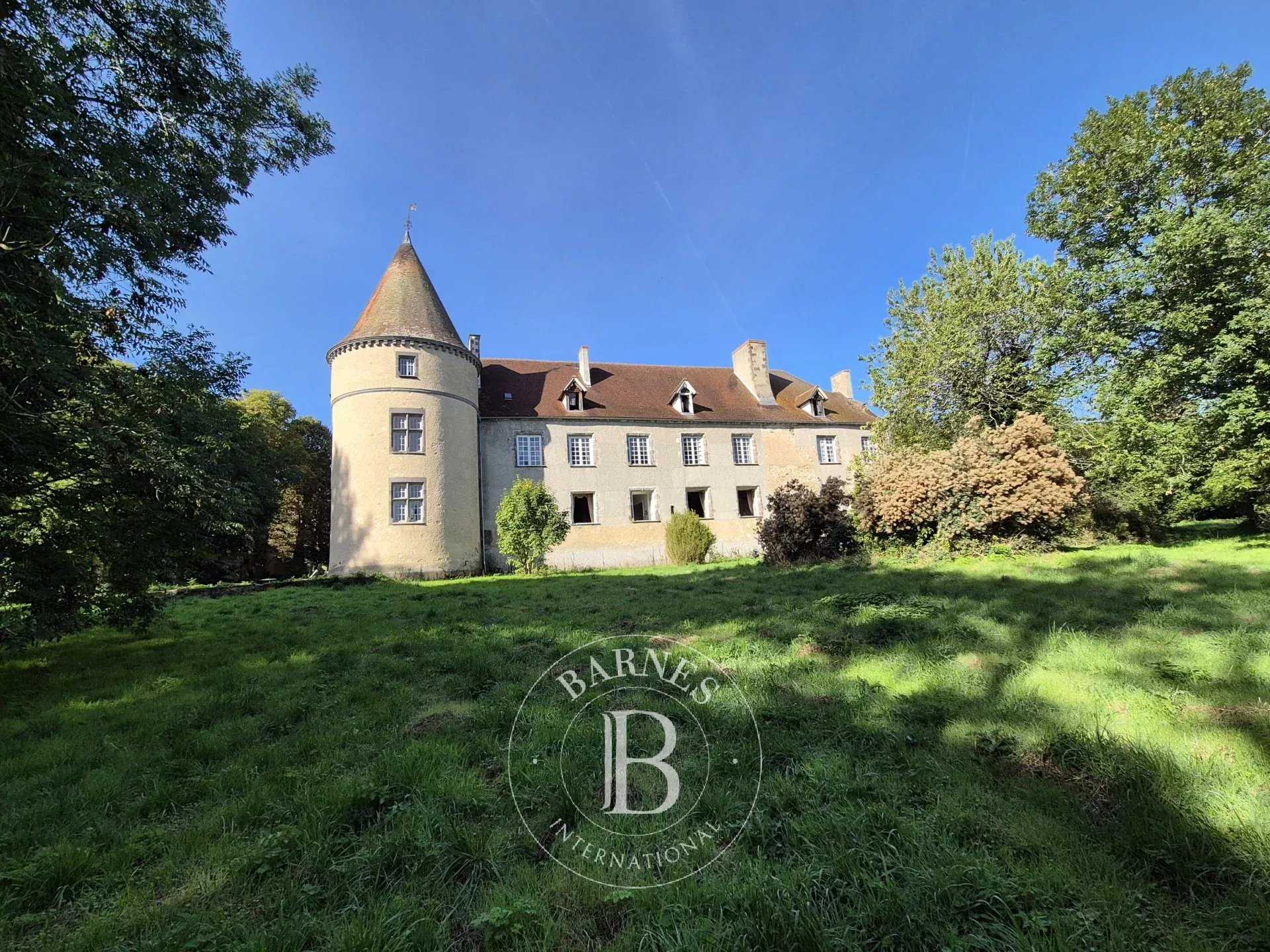 Blot-l'Église  - Castle 8 Bedrooms