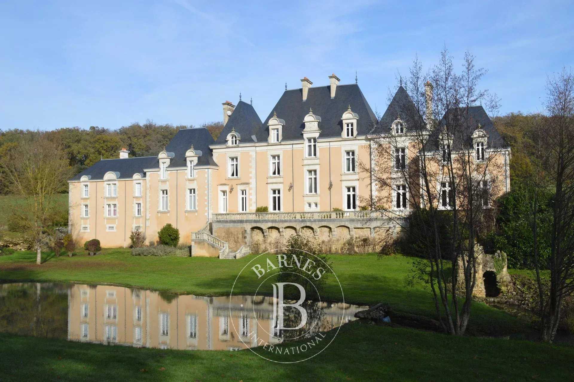 Poitiers  - Château 22 Pièces 12 Chambres