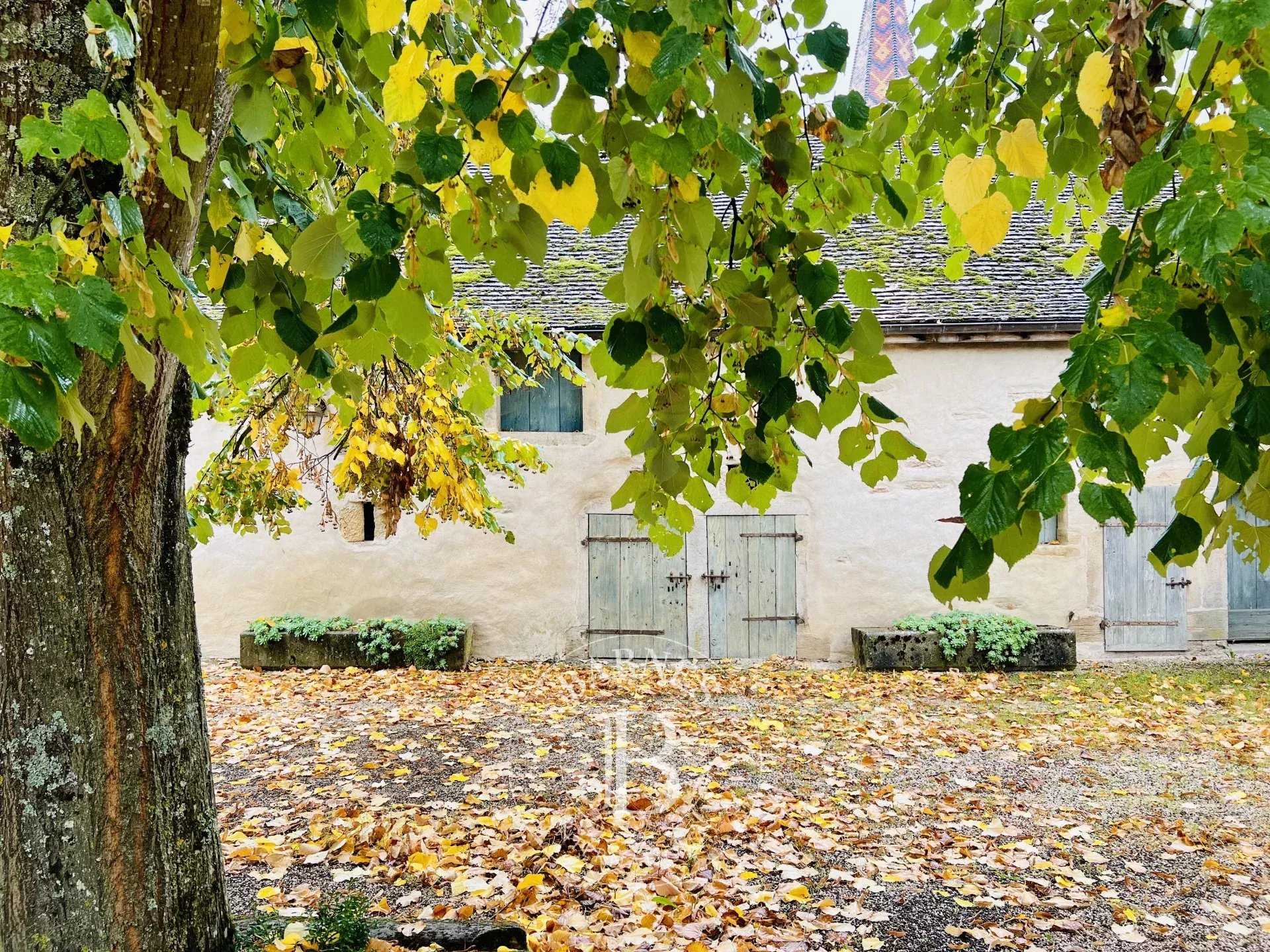 Beaune  - House 6 Bedrooms